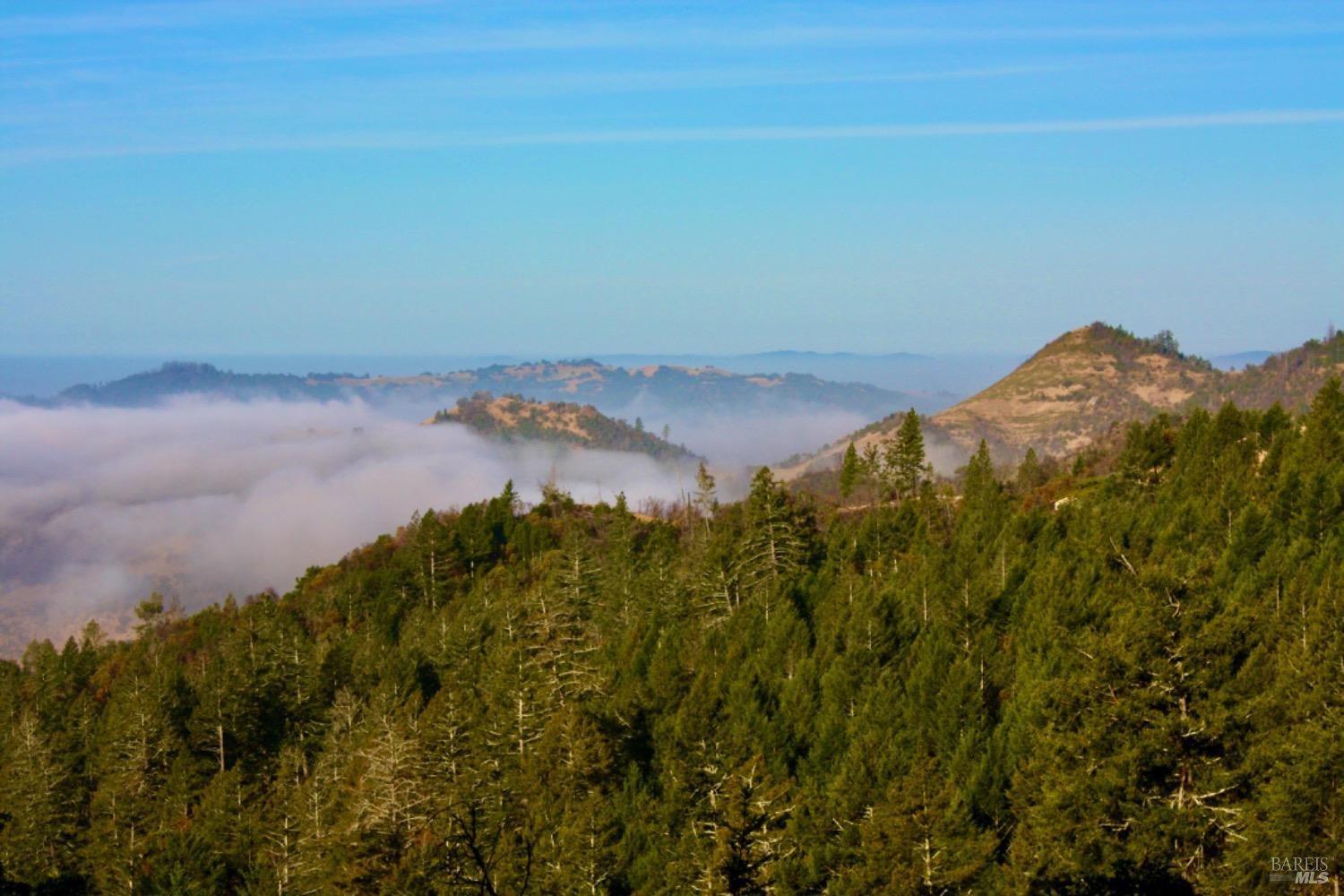 Detail Gallery Image 34 of 51 For 4405 Lake County Hwy, Calistoga,  CA 94515 - 3 Beds | 2 Baths