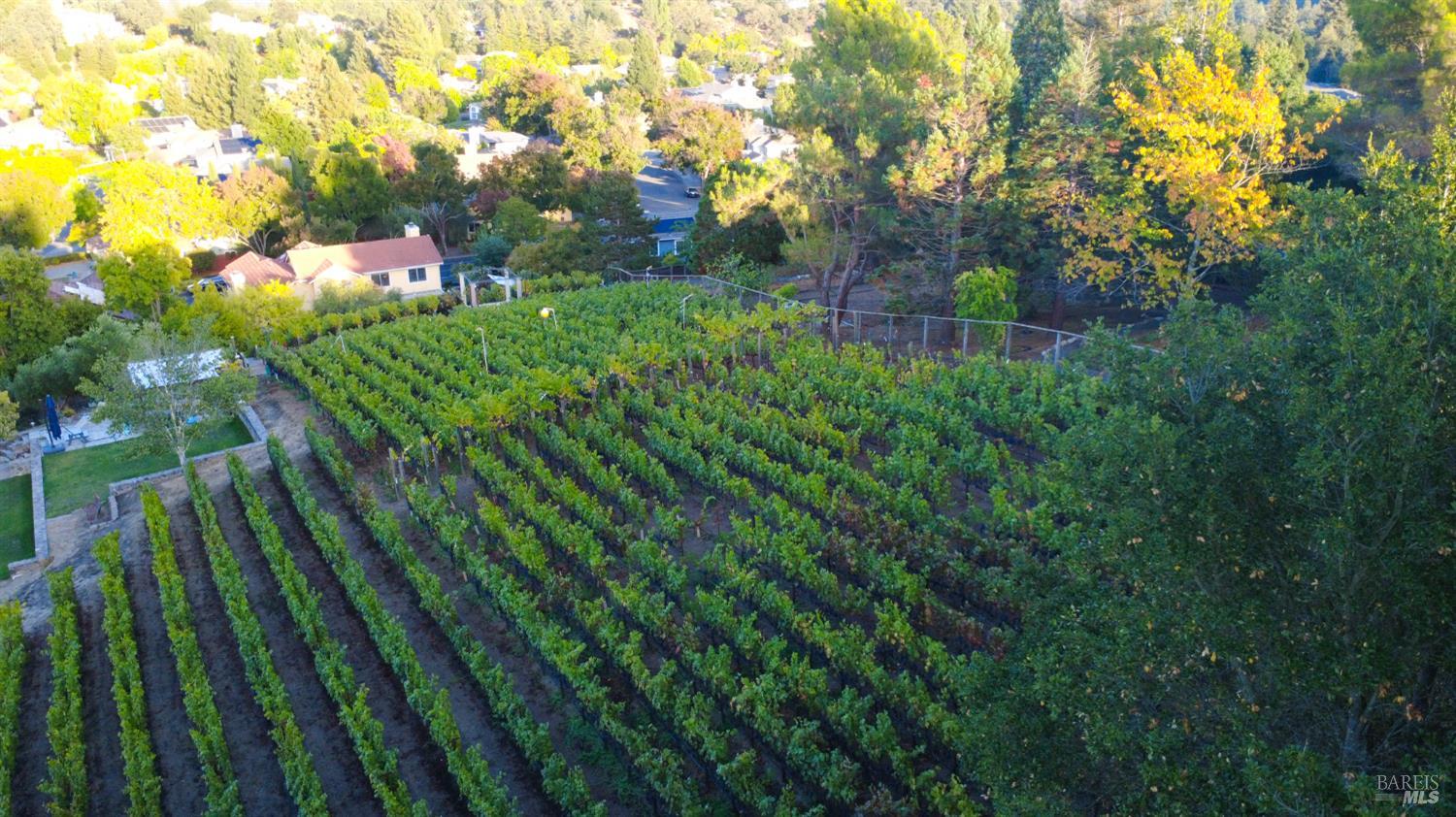 Detail Gallery Image 34 of 37 For 1125 Westview Dr, Napa,  CA 94558 - 5 Beds | 3 Baths