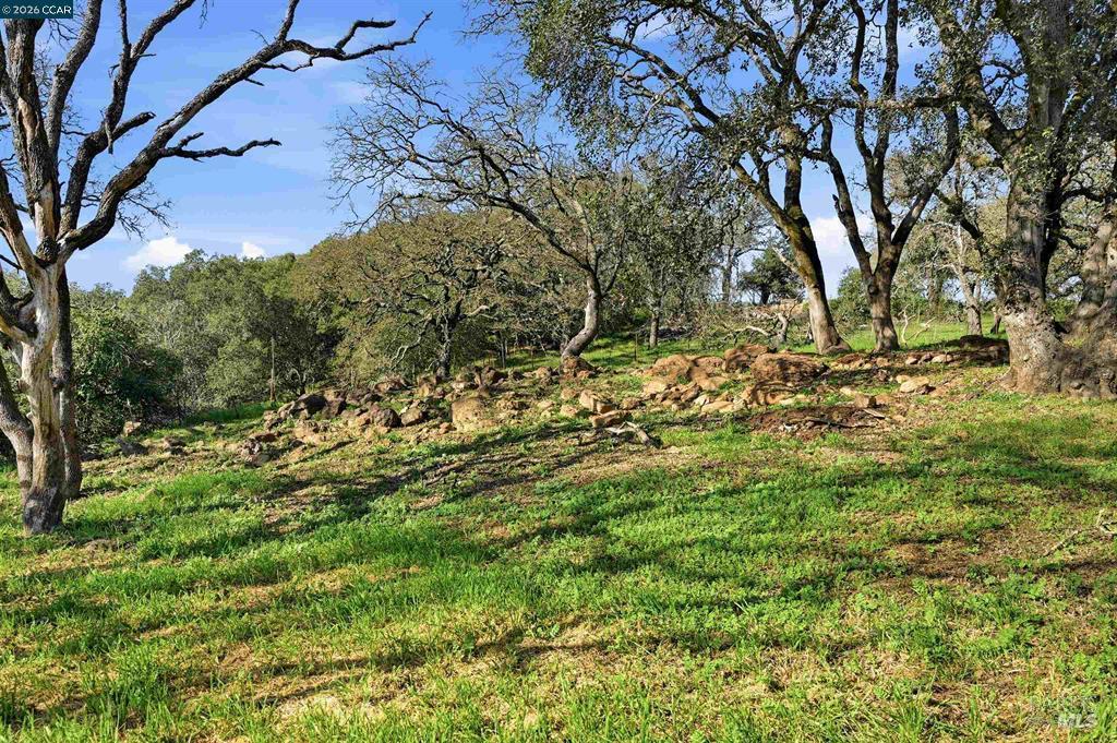 Detail Gallery Image 22 of 55 For 2087 1st Ave, Napa,  CA 94558 - 4 Beds | 2 Baths