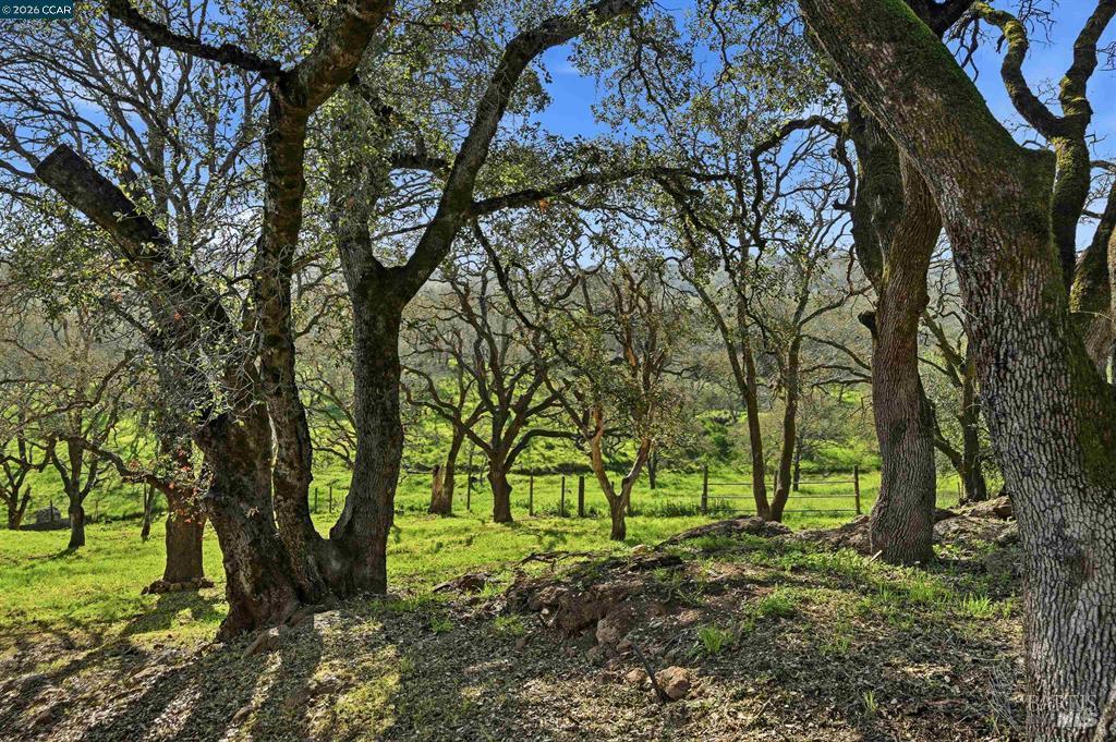 Detail Gallery Image 9 of 55 For 2087 1st Ave, Napa,  CA 94558 - 4 Beds | 2 Baths