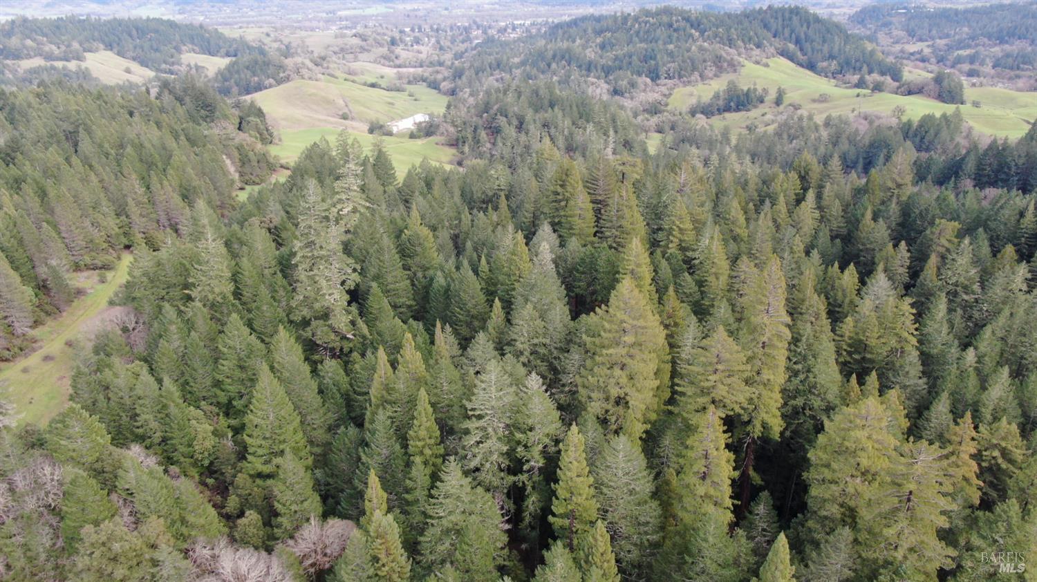 Detail Gallery Image 35 of 41 For 23606 Primrose Ave, Willits,  CA 95490 - – Beds | – Baths