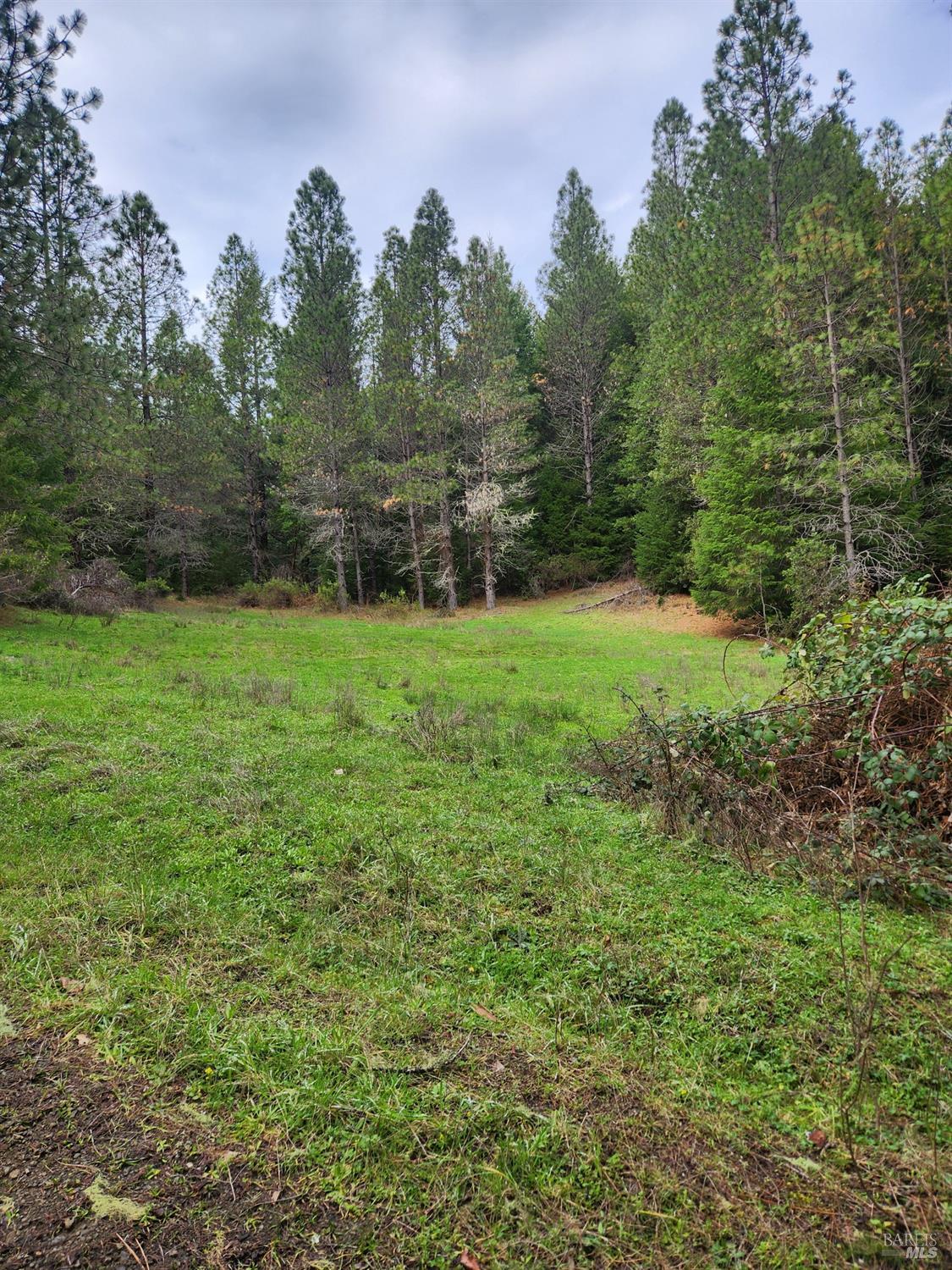 Detail Gallery Image 12 of 41 For 23606 Primrose Ave, Willits,  CA 95490 - – Beds | – Baths