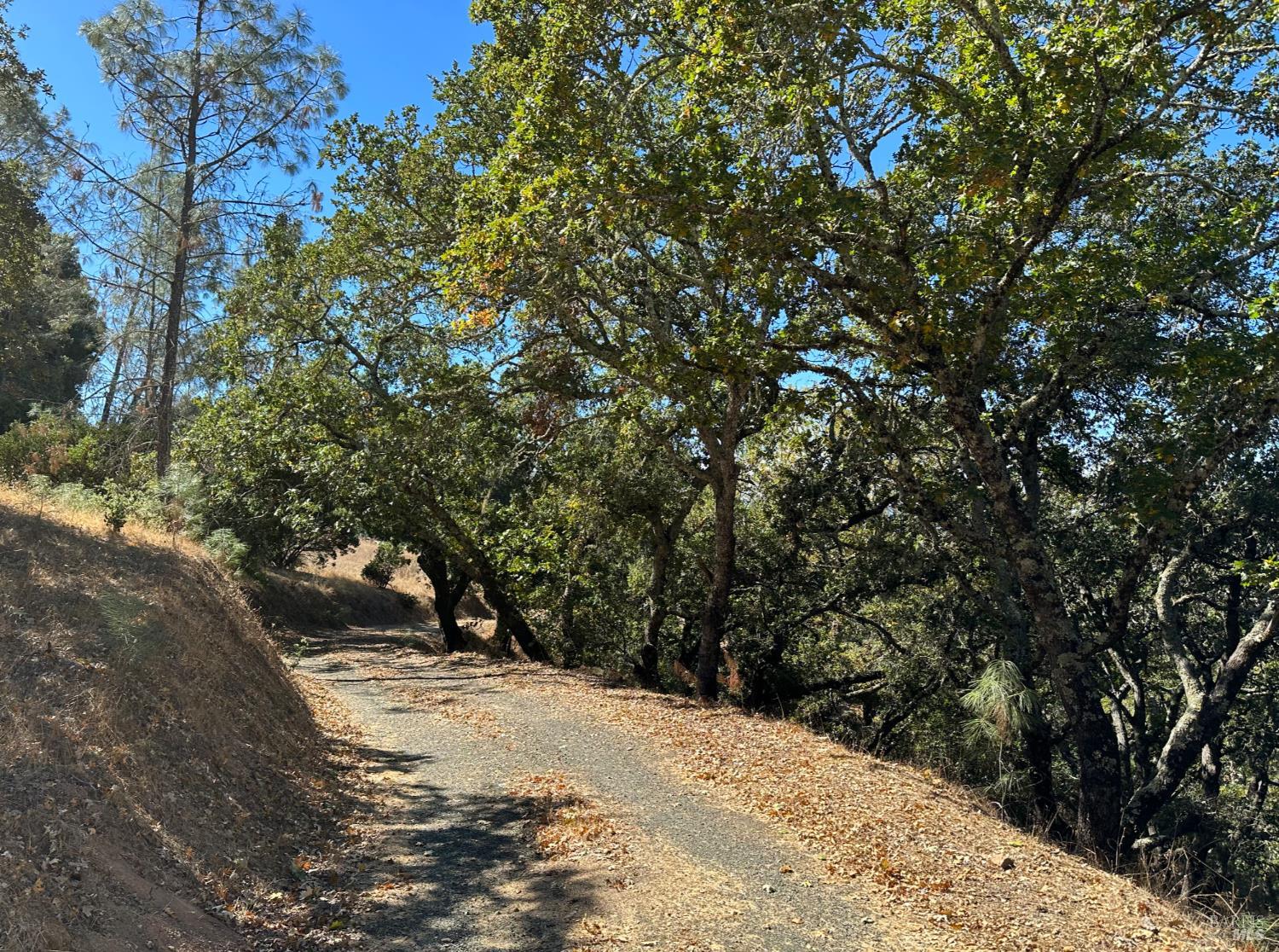 Detail Gallery Image 21 of 23 For 0 Hennessey Ridge Rd, Saint Helena,  CA 94574 - – Beds | – Baths