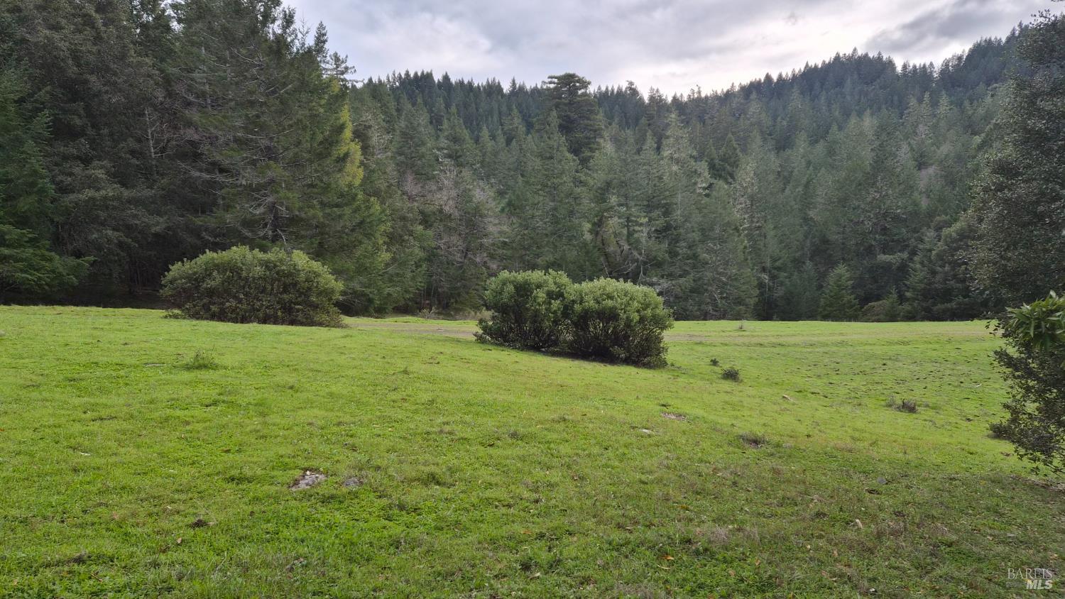 Detail Gallery Image 19 of 41 For 23606 Primrose Ave, Willits,  CA 95490 - – Beds | – Baths