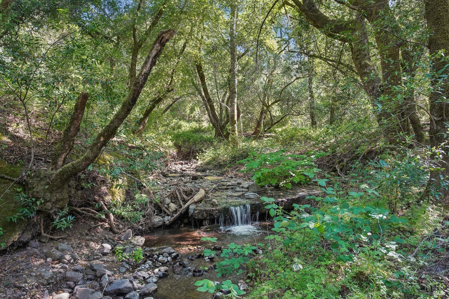 Detail Gallery Image 79 of 88 For 1500 Morningside Mtn Rd, Glen Ellen,  CA 95442 - 3 Beds | 4 Baths