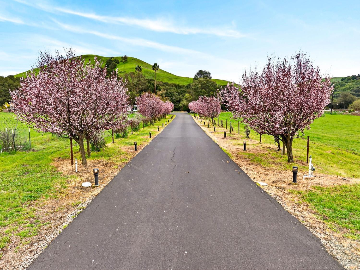 Detail Gallery Image 60 of 69 For 3534 Spurs Trl, American Canyon,  CA 94503 - 4 Beds | 2 Baths
