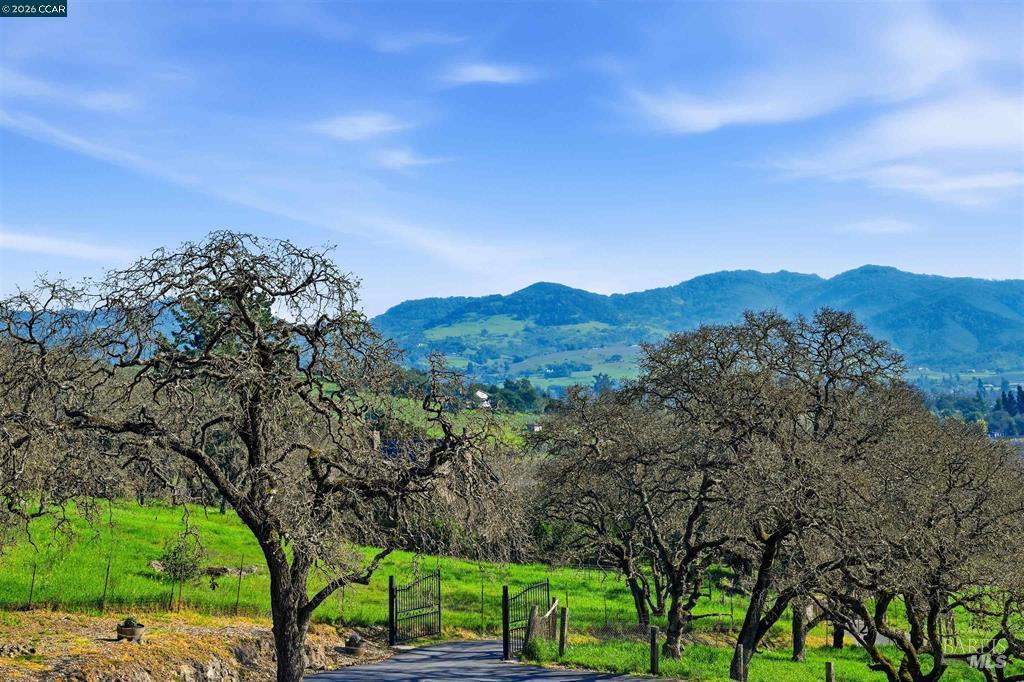 Detail Gallery Image 2 of 55 For 2087 1st Ave, Napa,  CA 94558 - 4 Beds | 2 Baths