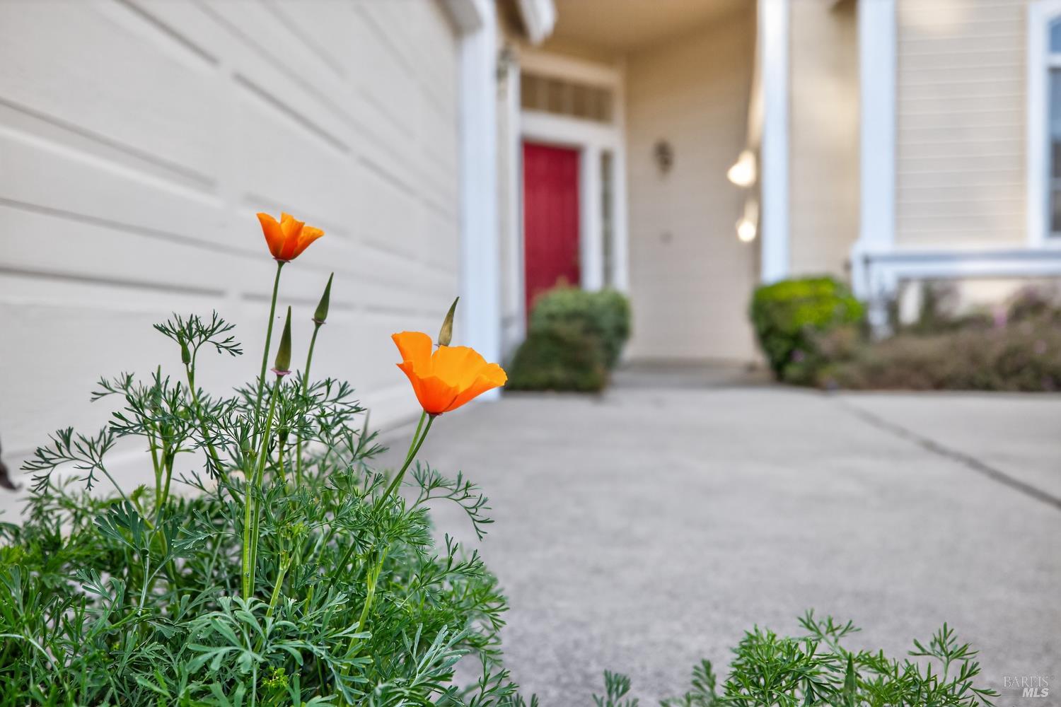 Detail Gallery Image 60 of 65 For 6539 Pine Valley Dr, Santa Rosa,  CA 95409 - 3 Beds | 2 Baths