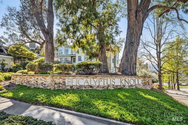 Detail Gallery Image 28 of 35 For 118 Eucalyptus Knoll St, Mill Valley,  CA 94941 - 2 Beds | 2 Baths