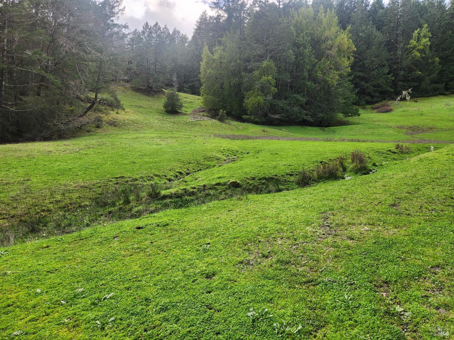 Detail Gallery Image 6 of 41 For 23606 Primrose Ave, Willits,  CA 95490 - – Beds | – Baths