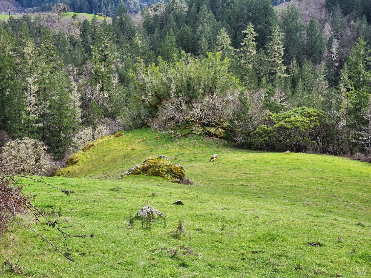 Detail Gallery Image 17 of 41 For 23606 Primrose Ave, Willits,  CA 95490 - – Beds | – Baths