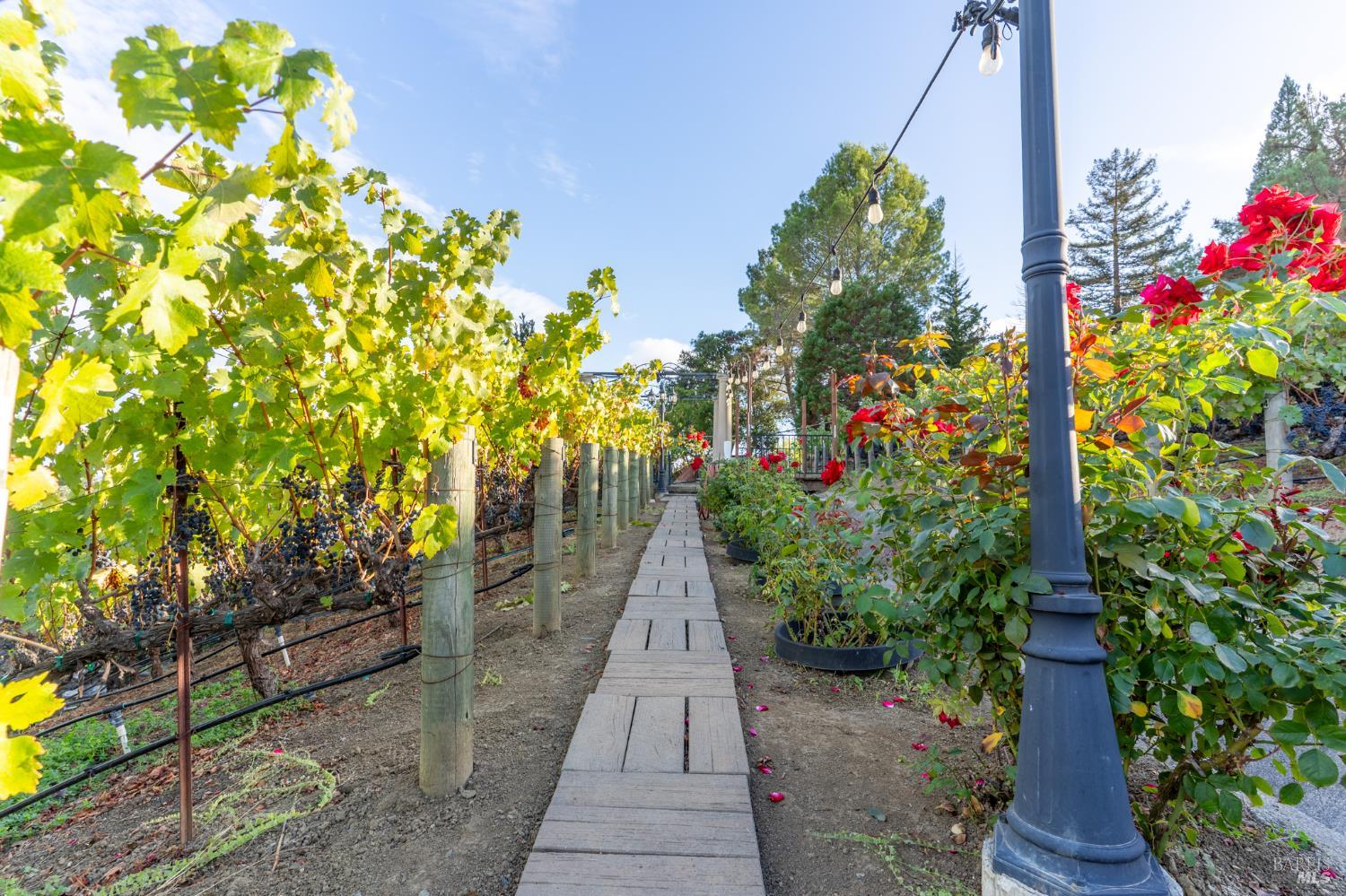 Detail Gallery Image 31 of 37 For 1125 Westview Dr, Napa,  CA 94558 - 5 Beds | 3 Baths