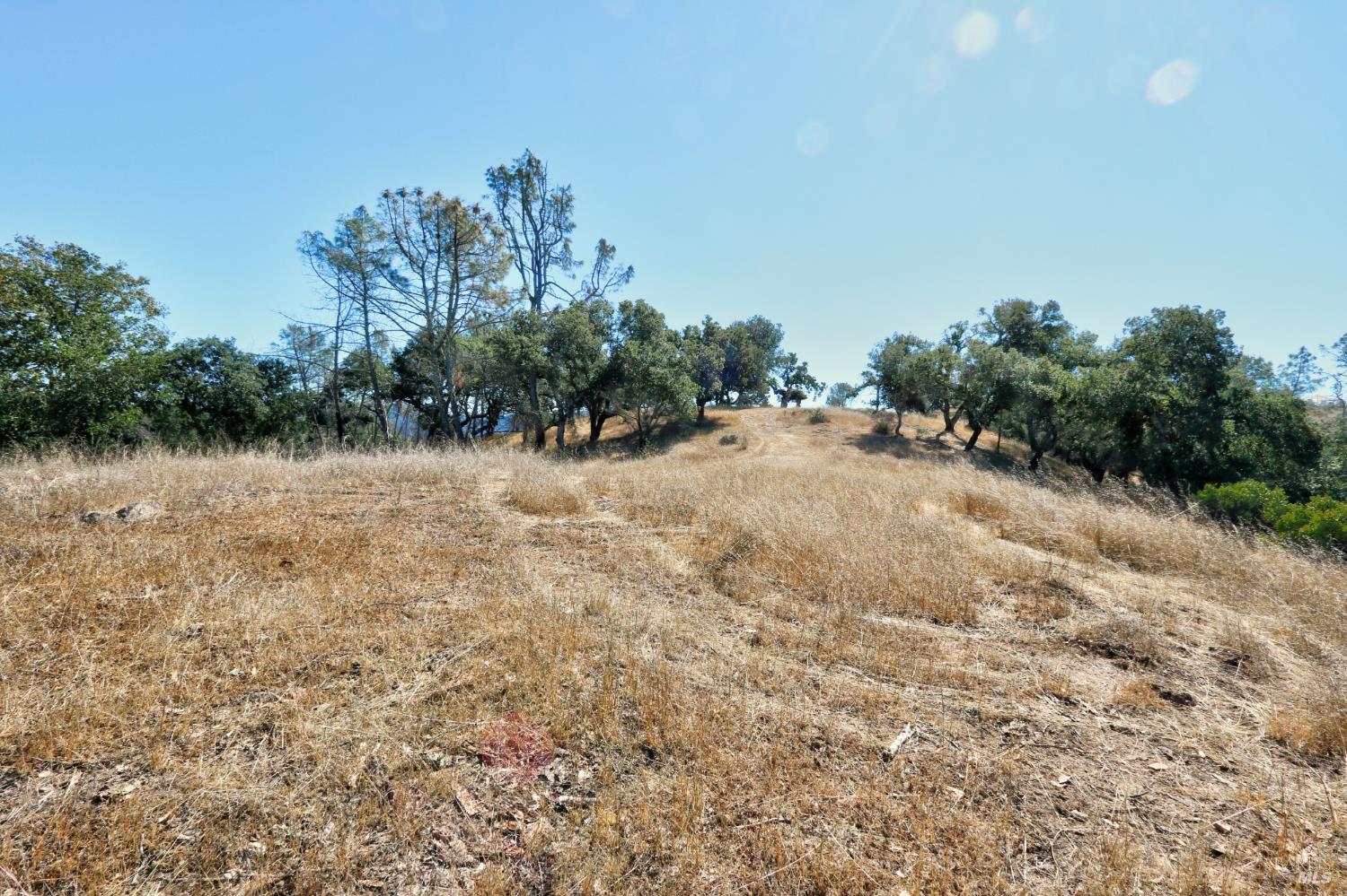 Detail Gallery Image 19 of 23 For 0 Hennessey Ridge Rd, Saint Helena,  CA 94574 - – Beds | – Baths