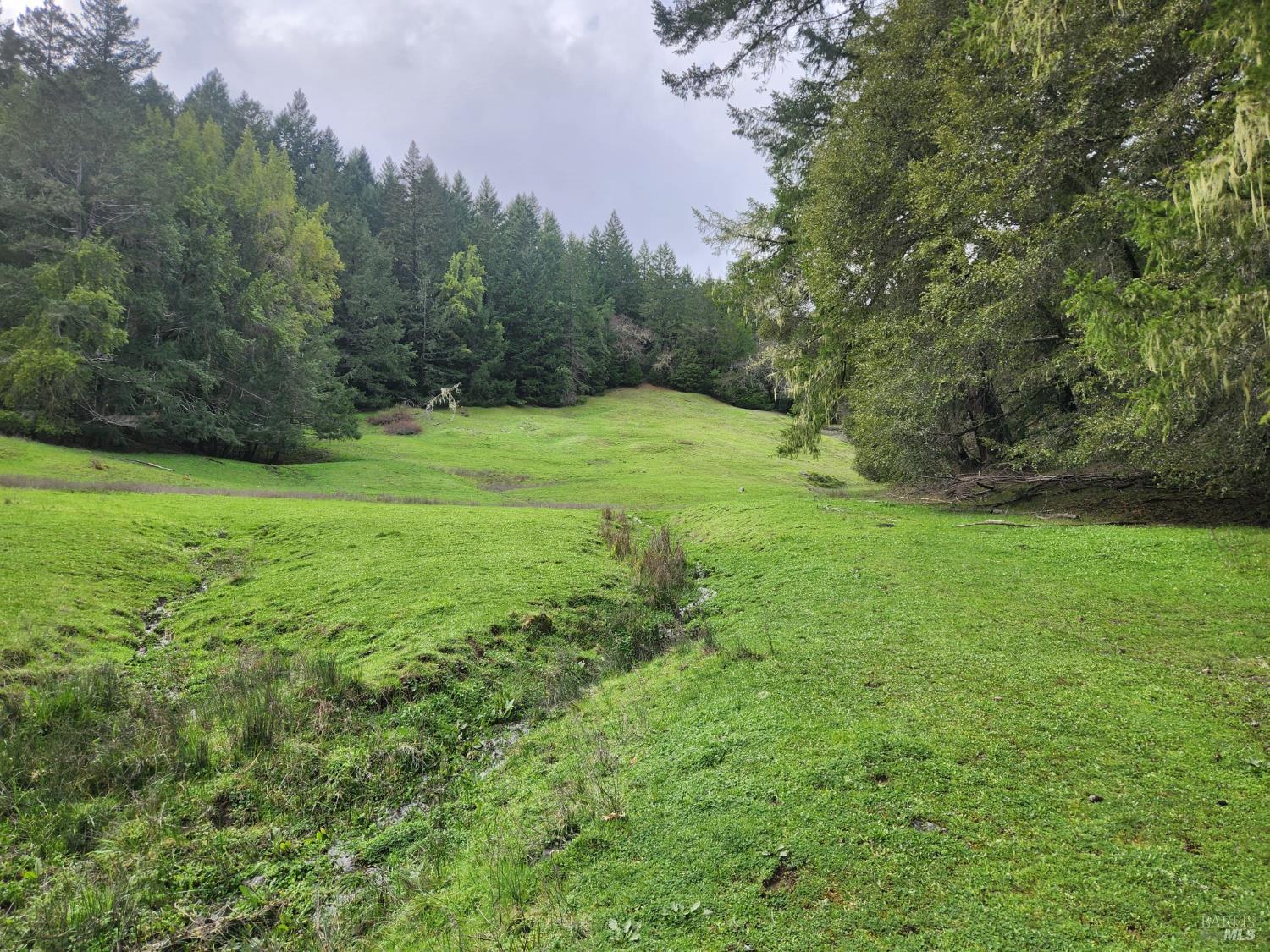 Detail Gallery Image 7 of 41 For 23606 Primrose Ave, Willits,  CA 95490 - – Beds | – Baths