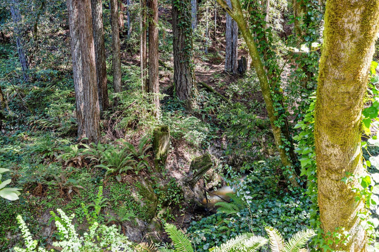 Detail Gallery Image 31 of 53 For 9935 Occidental Rd, Sebastopol,  CA 95472 - 3 Beds | 3 Baths