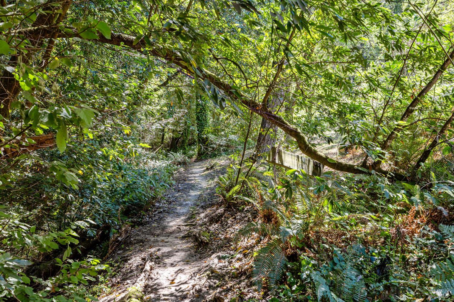 Detail Gallery Image 30 of 53 For 9935 Occidental Rd, Sebastopol,  CA 95472 - 3 Beds | 3 Baths