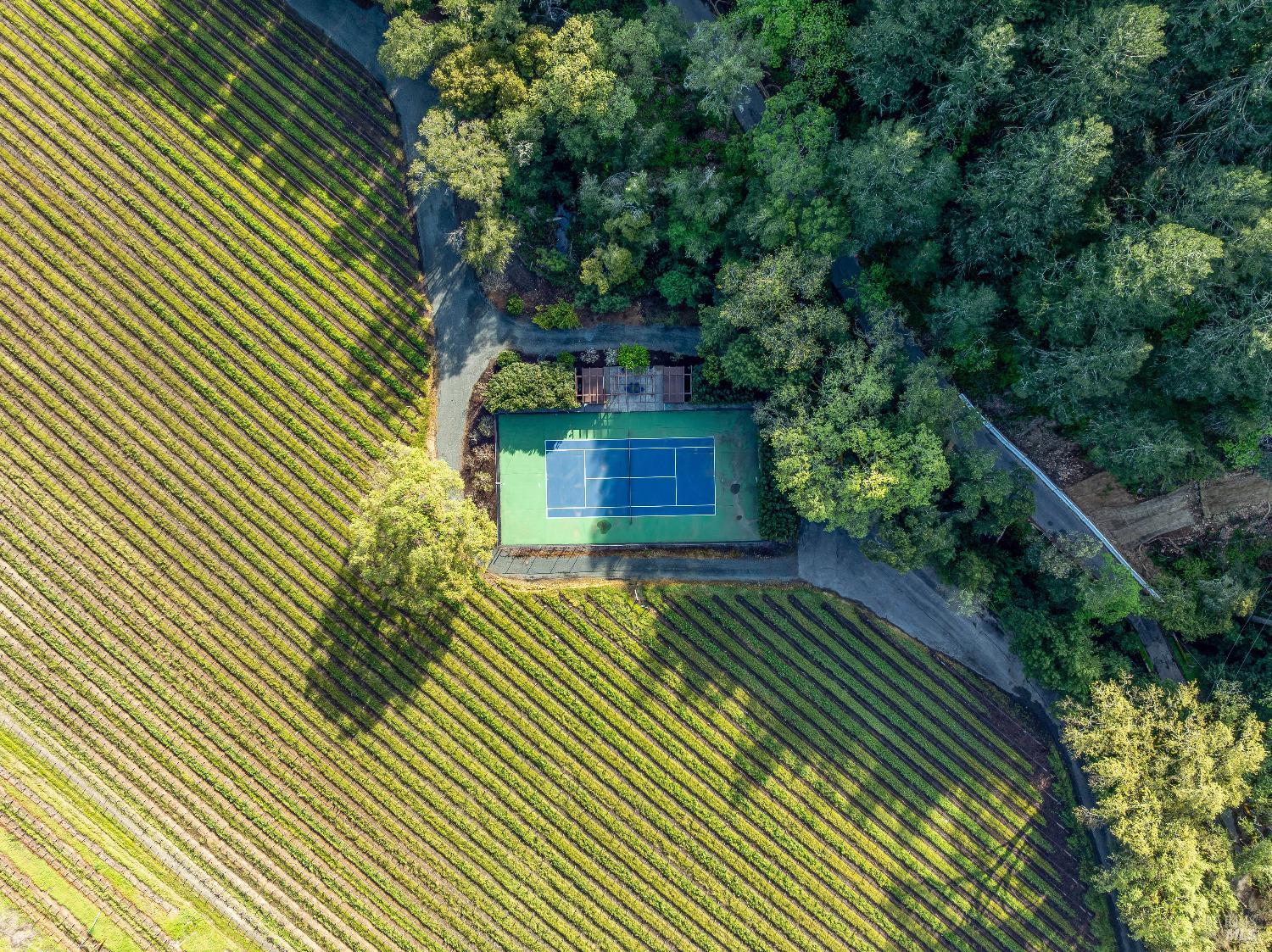 Detail Gallery Image 63 of 68 For 1626 Whitehall Ln, Saint Helena,  CA 94574 - 5 Beds | 7/1 Baths