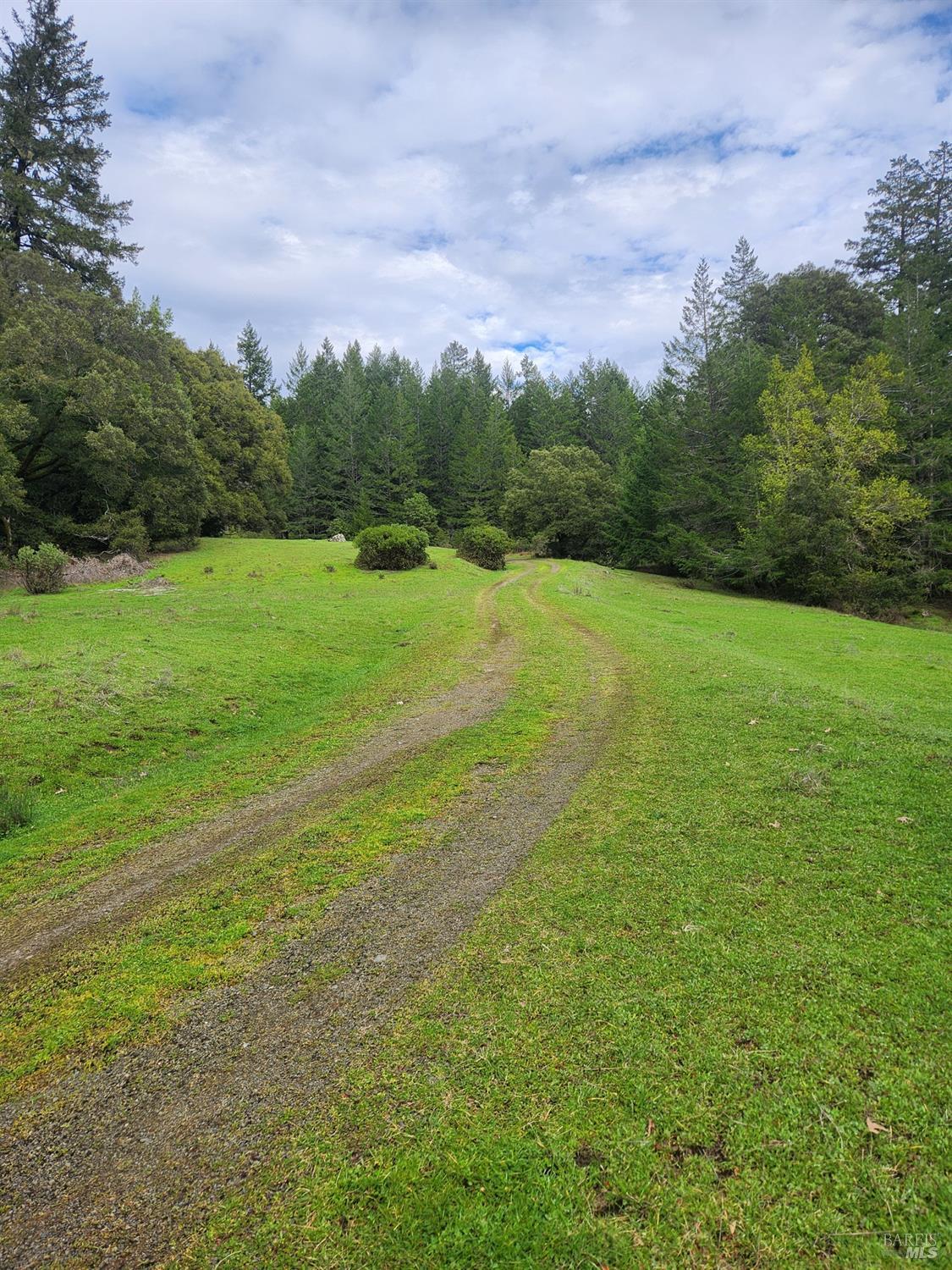 Detail Gallery Image 11 of 41 For 23606 Primrose Ave, Willits,  CA 95490 - – Beds | – Baths