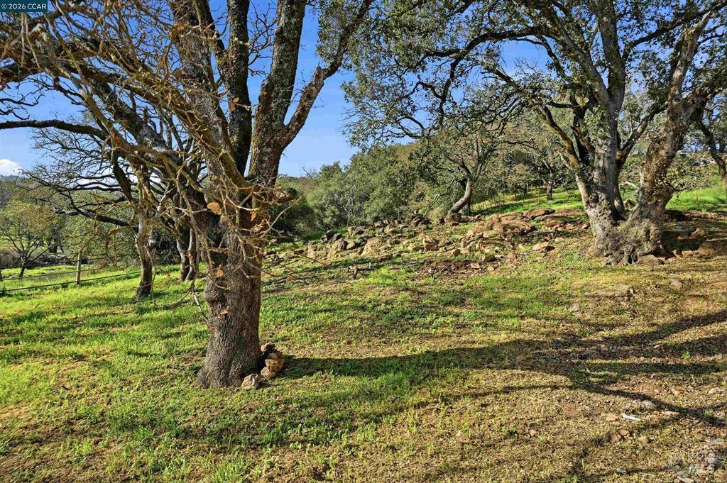 Detail Gallery Image 23 of 55 For 2087 1st Ave, Napa,  CA 94558 - 4 Beds | 2 Baths