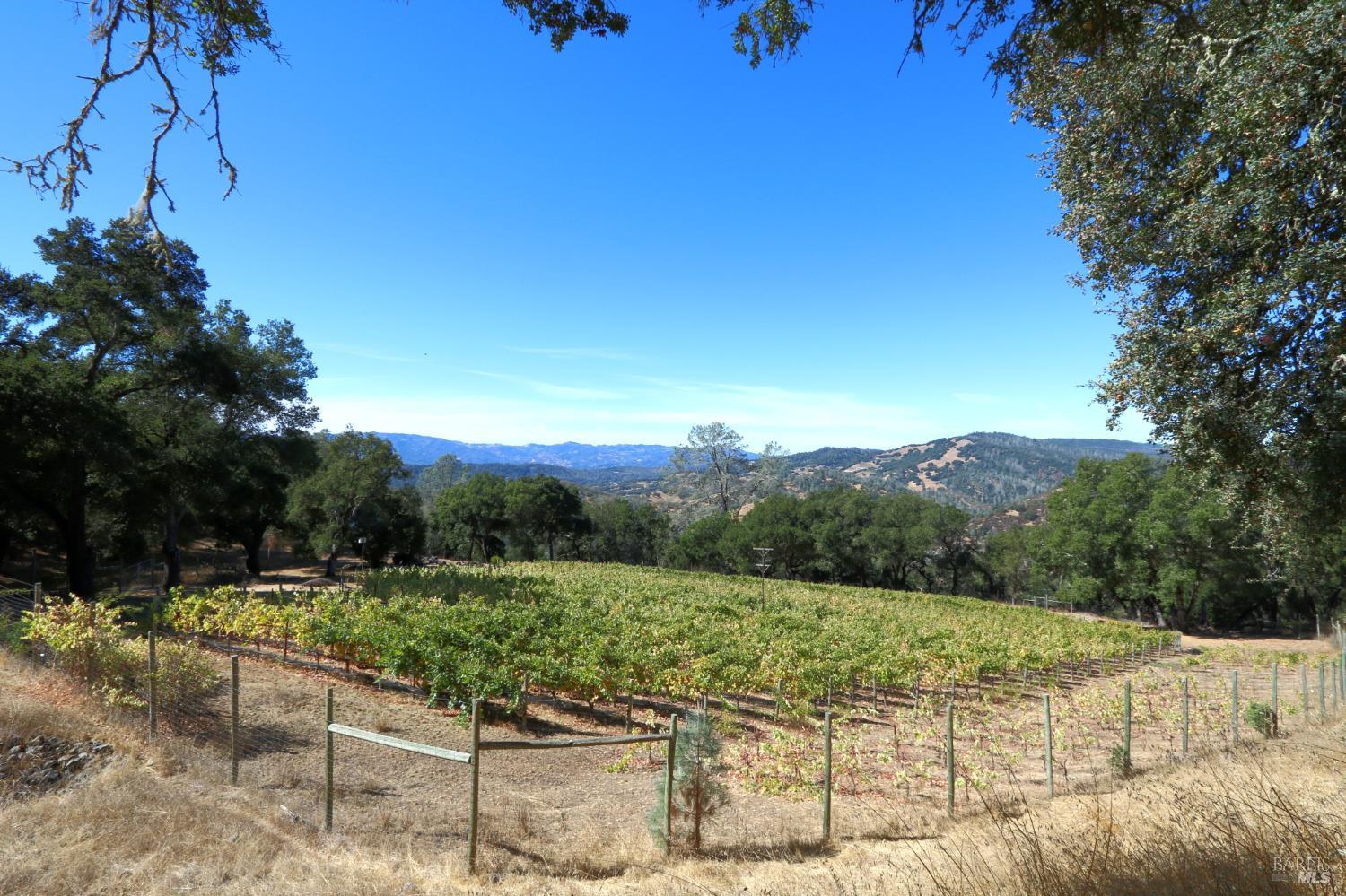 Detail Gallery Image 8 of 23 For 0 Hennessey Ridge Rd, Saint Helena,  CA 94574 - – Beds | – Baths