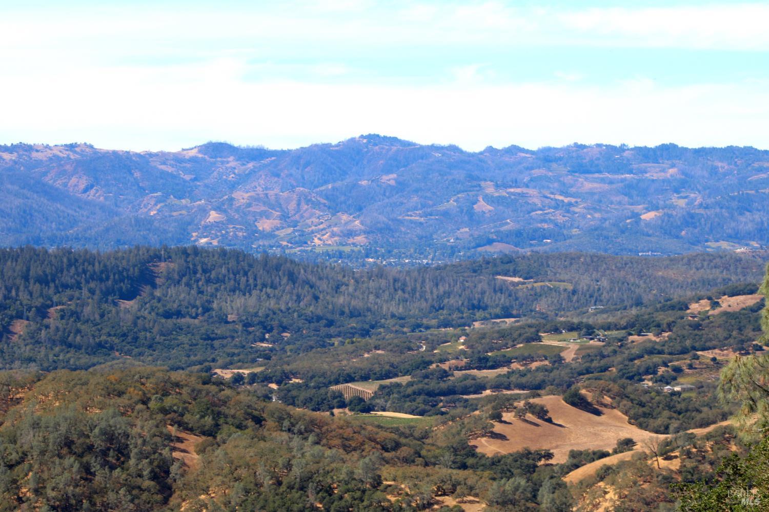 Detail Gallery Image 18 of 23 For 0 Hennessey Ridge Rd, Saint Helena,  CA 94574 - – Beds | – Baths