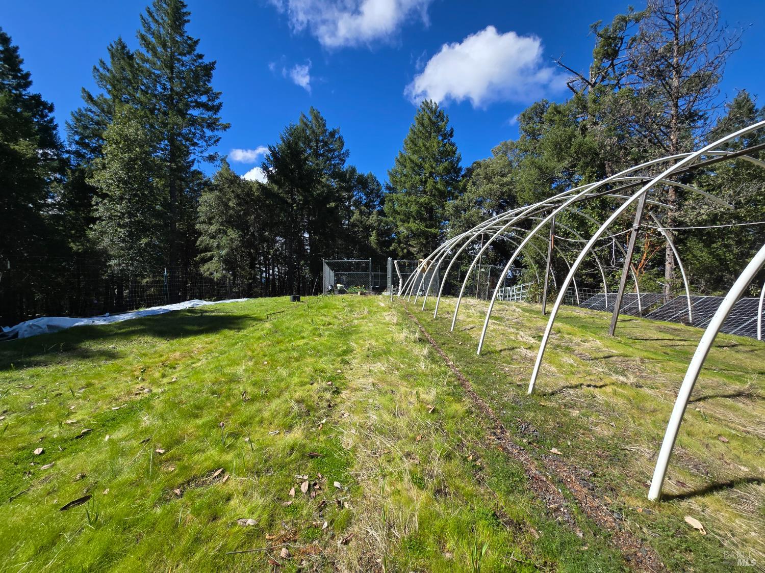 Detail Gallery Image 19 of 31 For 36193 Covelo Rd, Willits,  CA 95490 - 2 Beds | 1 Baths