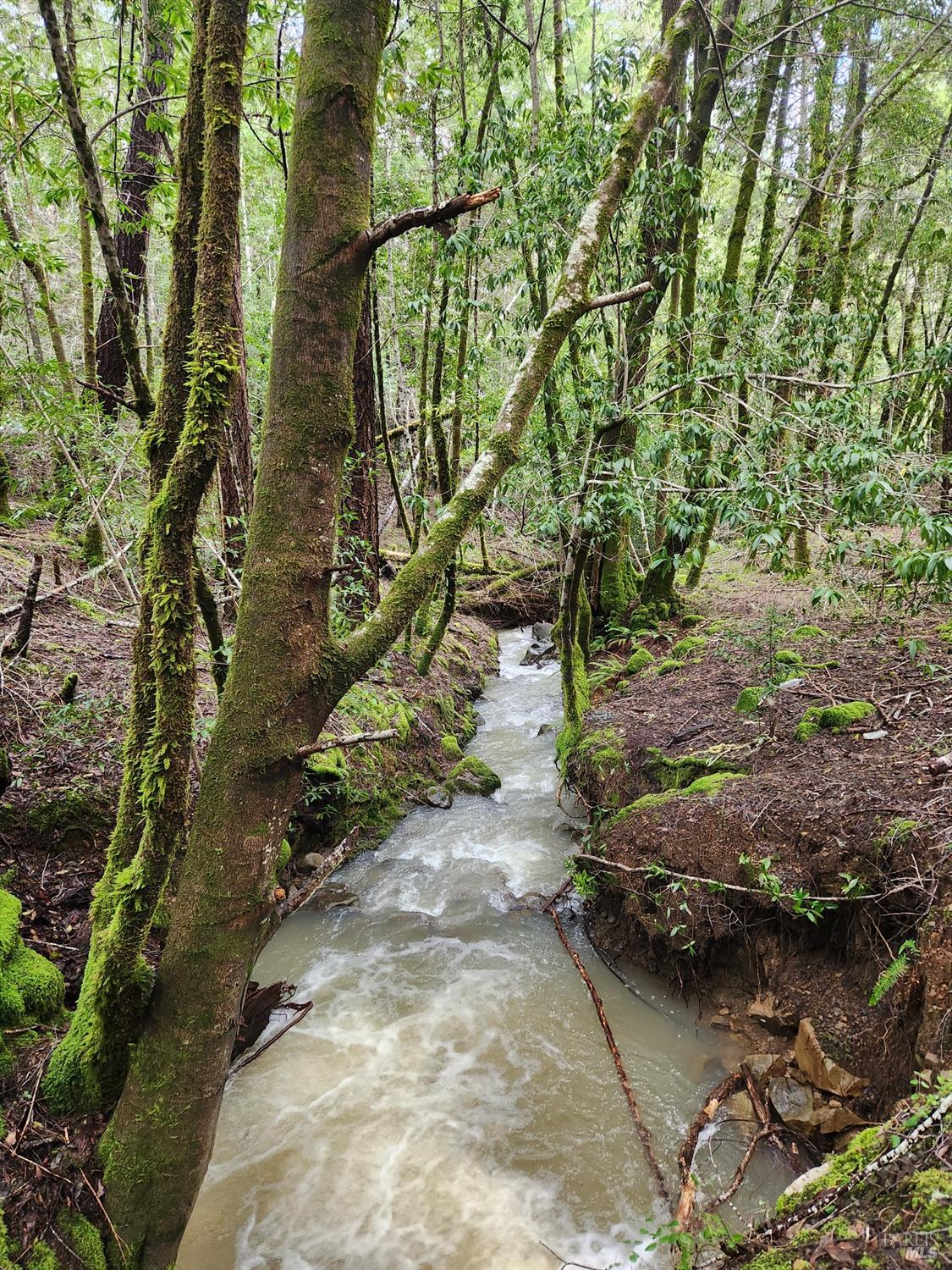 Detail Gallery Image 9 of 41 For 23606 Primrose Ave, Willits,  CA 95490 - – Beds | – Baths