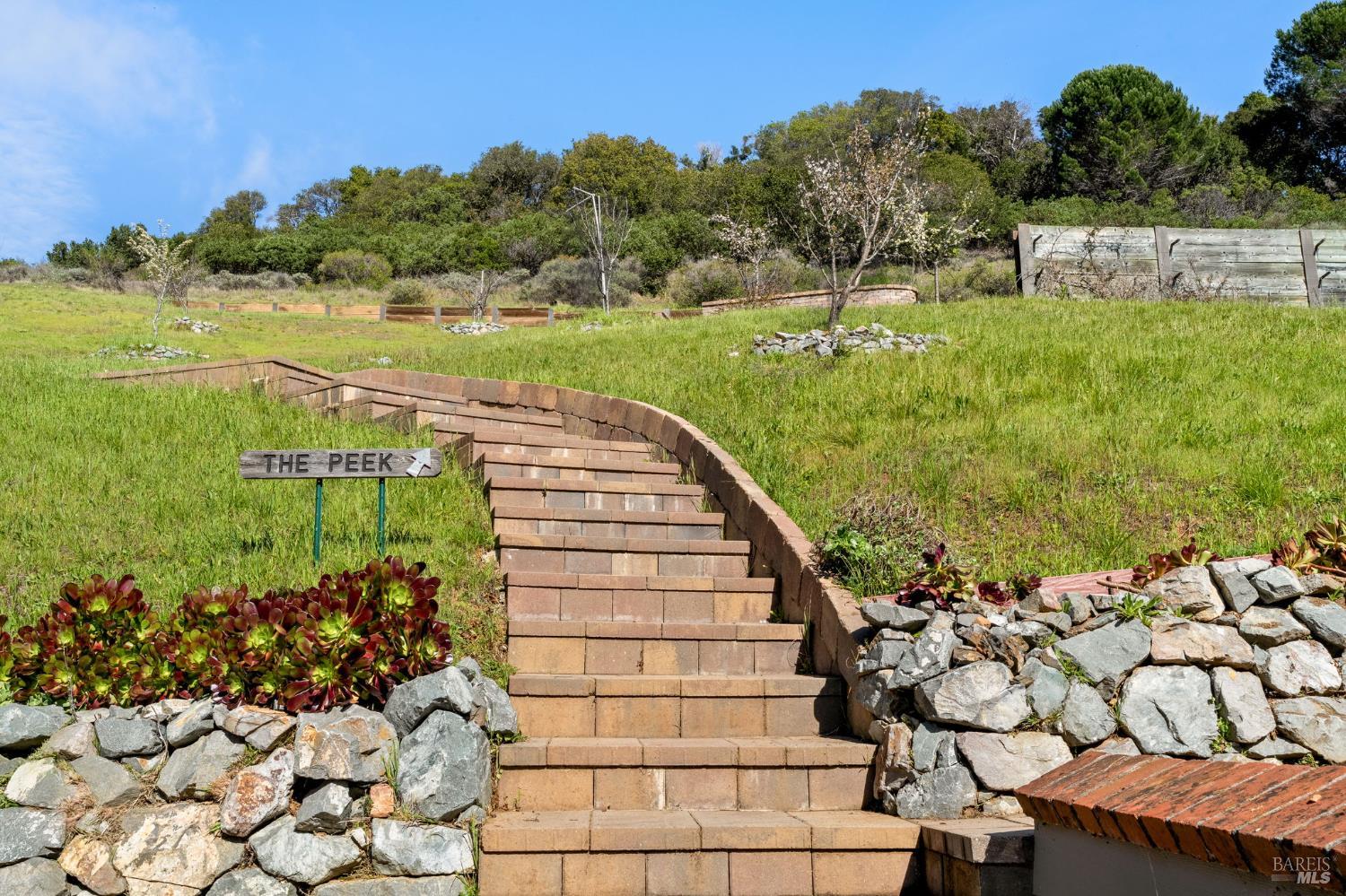 Detail Gallery Image 45 of 48 For 174 Main Dr, San Rafael,  CA 94901 - 5 Beds | 2/2 Baths