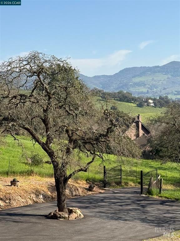 Detail Gallery Image 3 of 55 For 2087 1st Ave, Napa,  CA 94558 - 4 Beds | 2 Baths