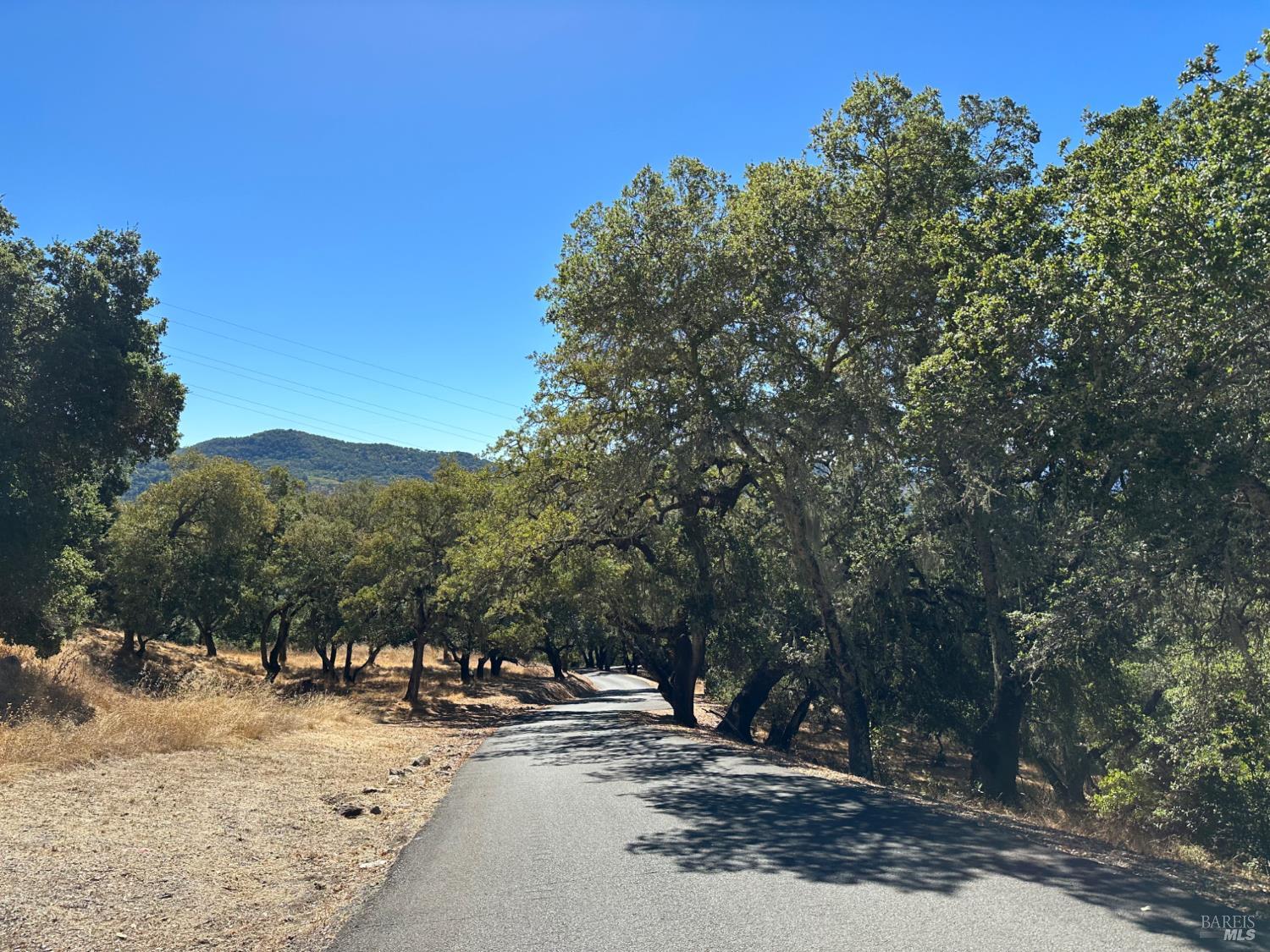 Detail Gallery Image 10 of 23 For 0 Hennessey Ridge Rd, Saint Helena,  CA 94574 - – Beds | – Baths