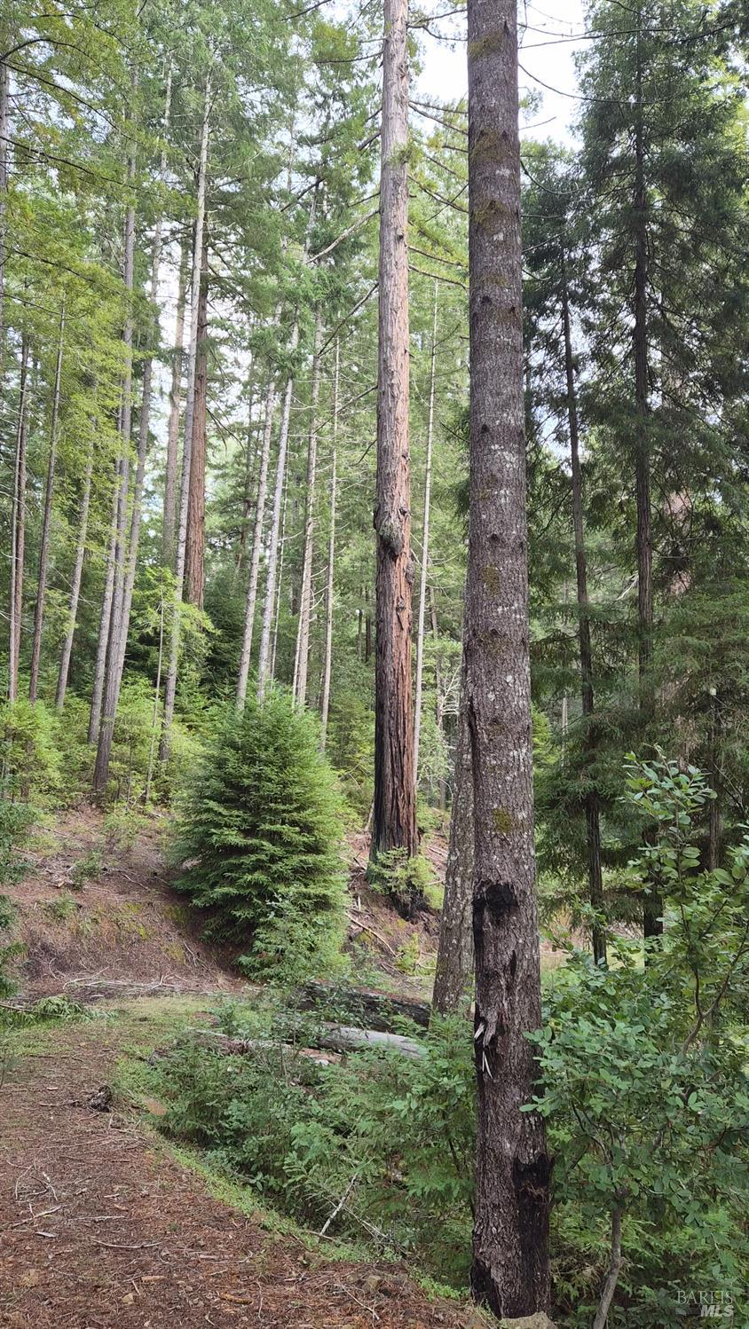 Detail Gallery Image 27 of 41 For 23606 Primrose Ave, Willits,  CA 95490 - – Beds | – Baths