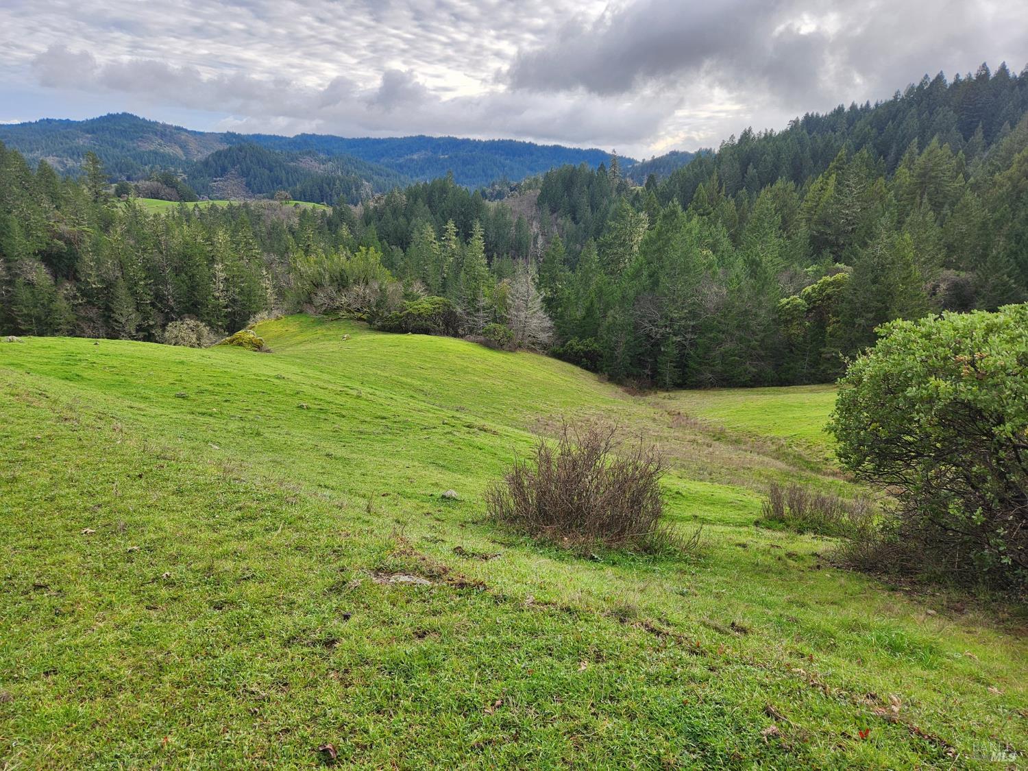 Detail Gallery Image 14 of 41 For 23606 Primrose Ave, Willits,  CA 95490 - – Beds | – Baths