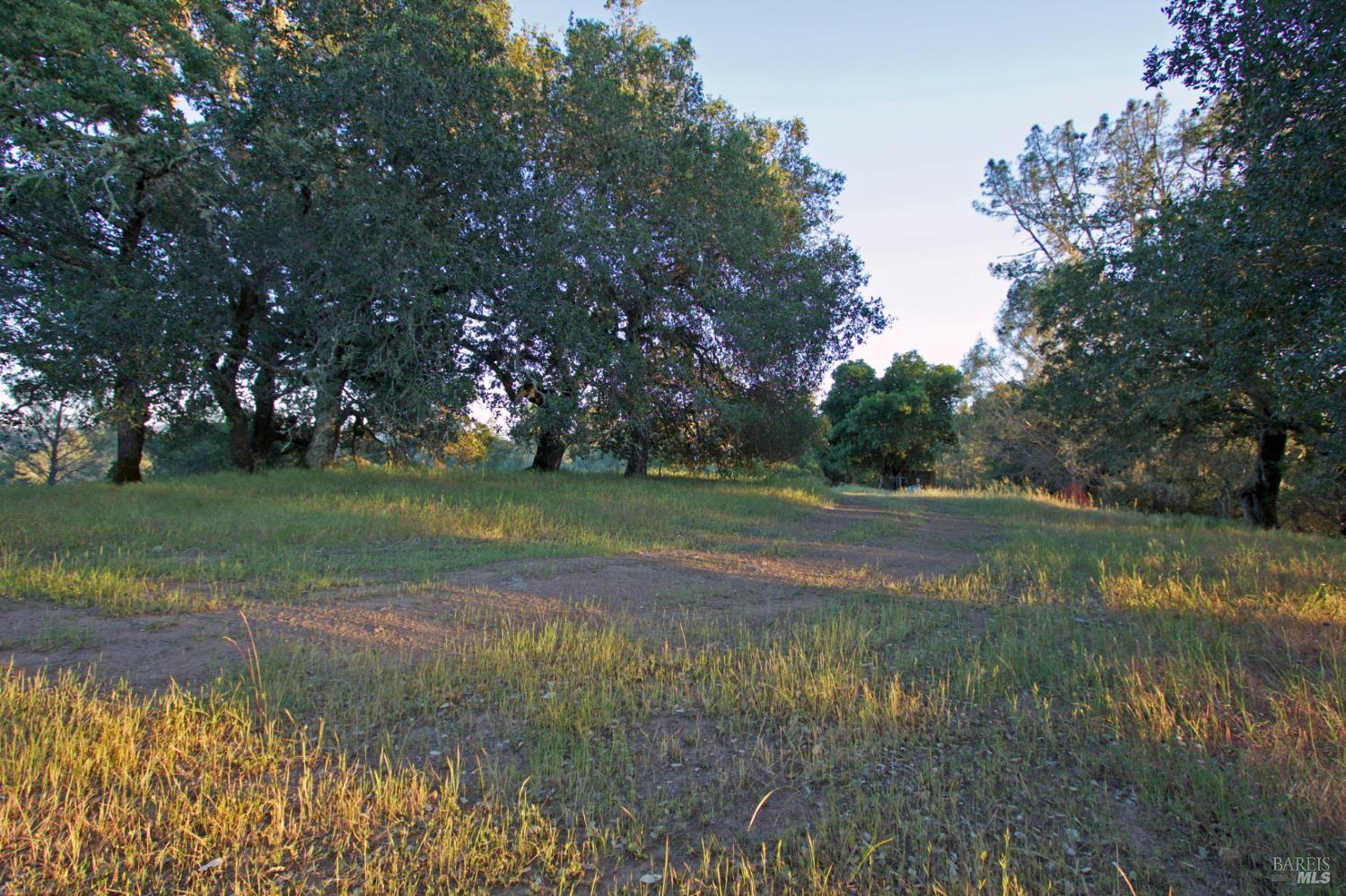 Detail Gallery Image 5 of 23 For 0 Hennessey Ridge Rd, Saint Helena,  CA 94574 - – Beds | – Baths