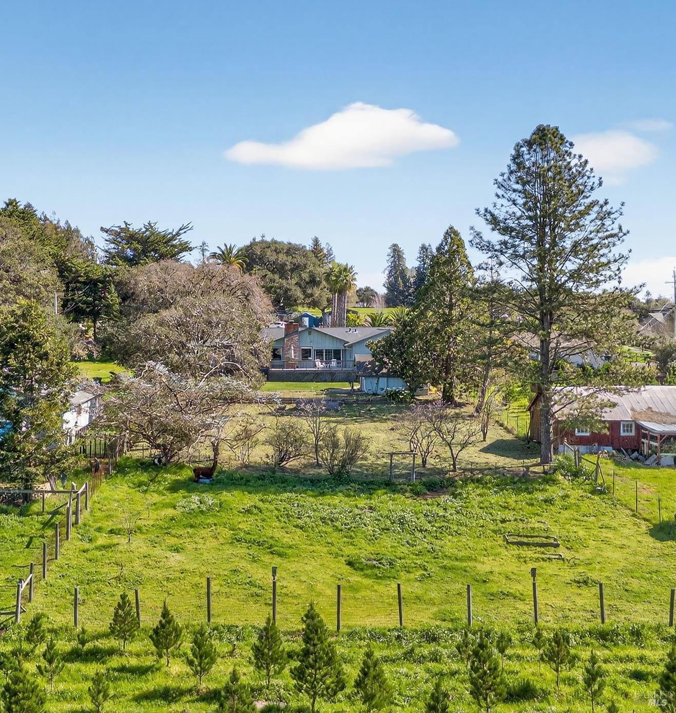 Detail Gallery Image 50 of 51 For 445 Marshall Ave, Petaluma,  CA 94952 - 3 Beds | 2 Baths