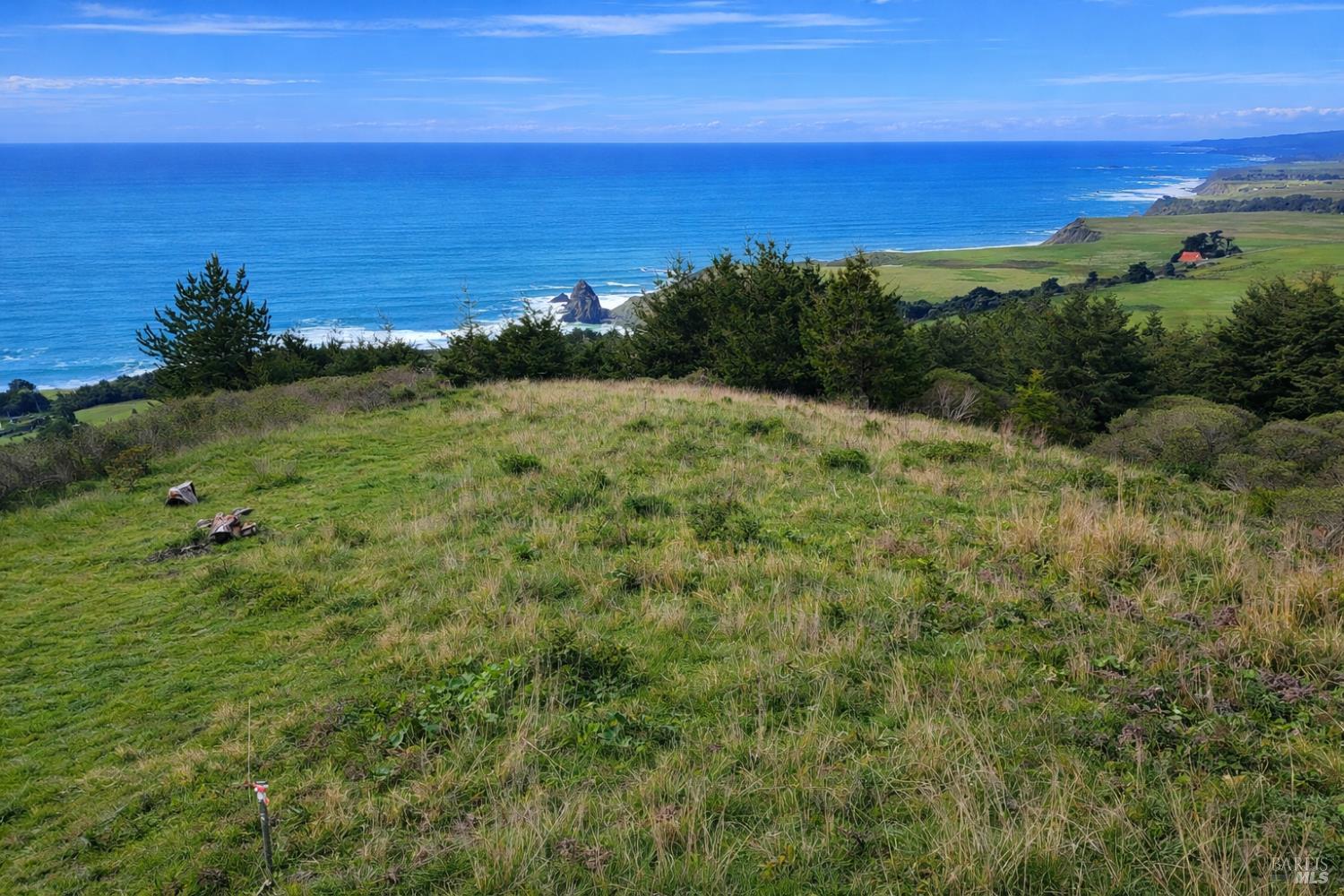 Detail Gallery Image 9 of 13 For 0 Alta Mesa Rd, Manchester,  CA 95459 - – Beds | – Baths