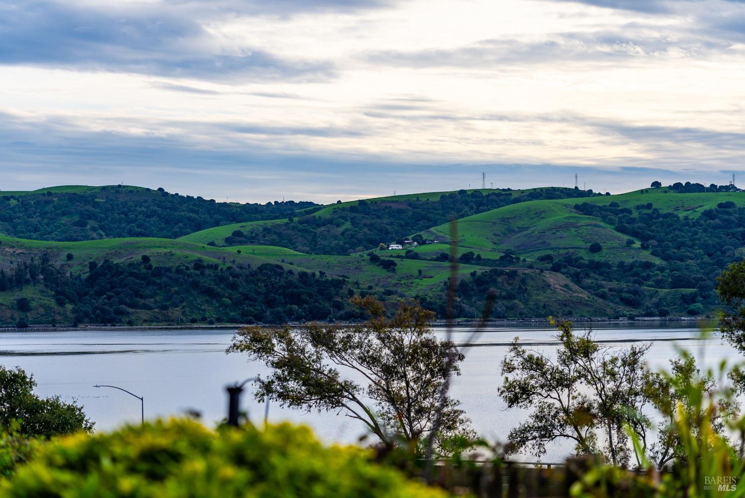 Detail Gallery Image 41 of 48 For 1474 London Cir, Benicia,  CA 94510 - 2 Beds | 2 Baths