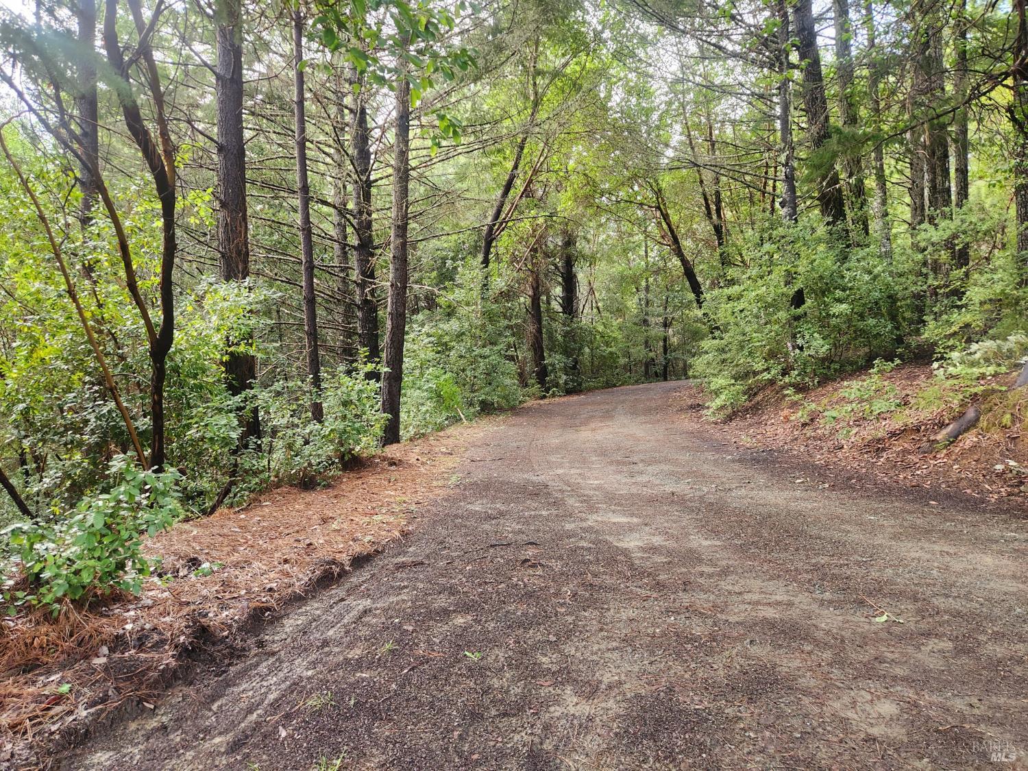 Detail Gallery Image 5 of 41 For 23606 Primrose Ave, Willits,  CA 95490 - – Beds | – Baths