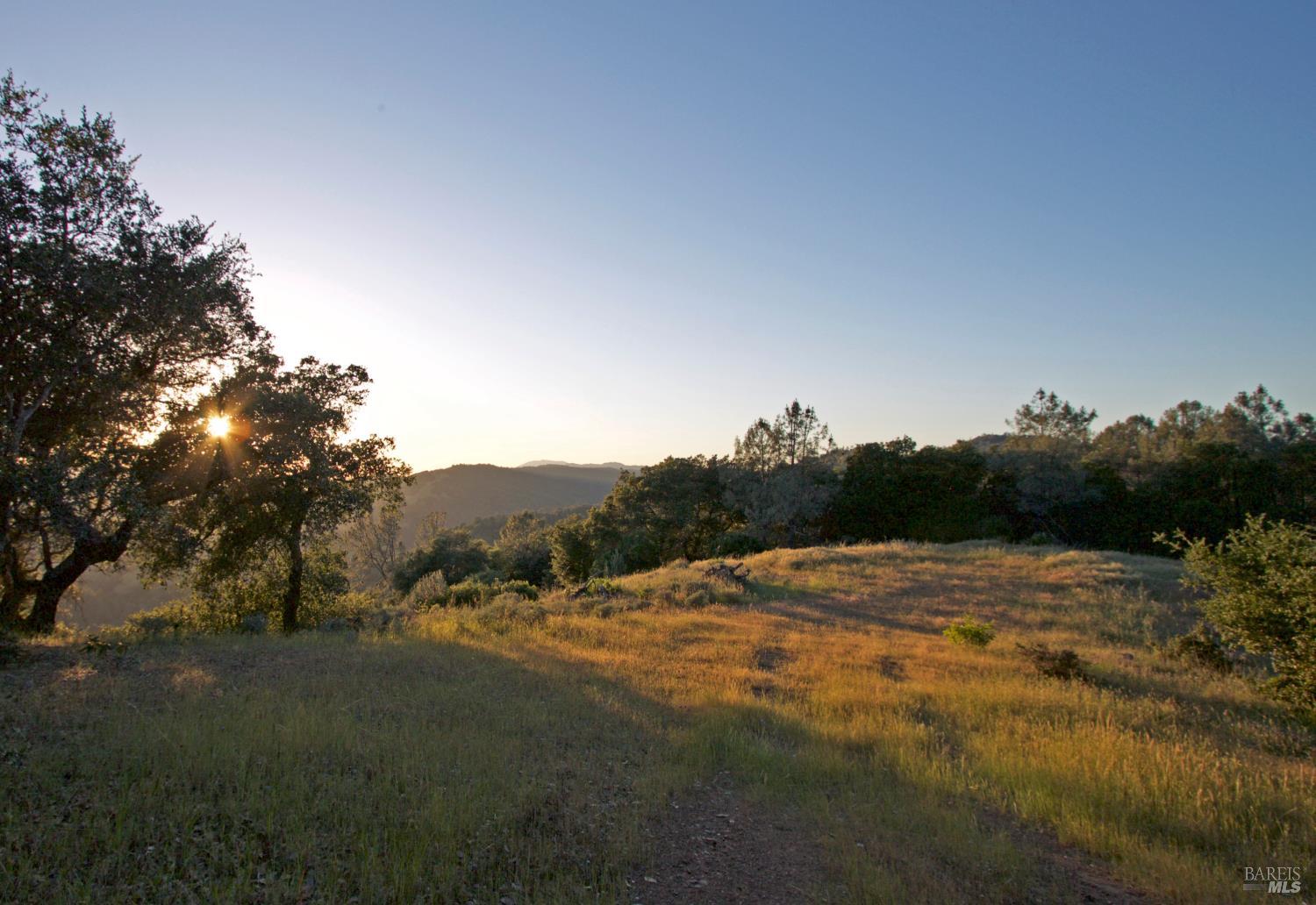 Detail Gallery Image 15 of 23 For 0 Hennessey Ridge Rd, Saint Helena,  CA 94574 - – Beds | – Baths