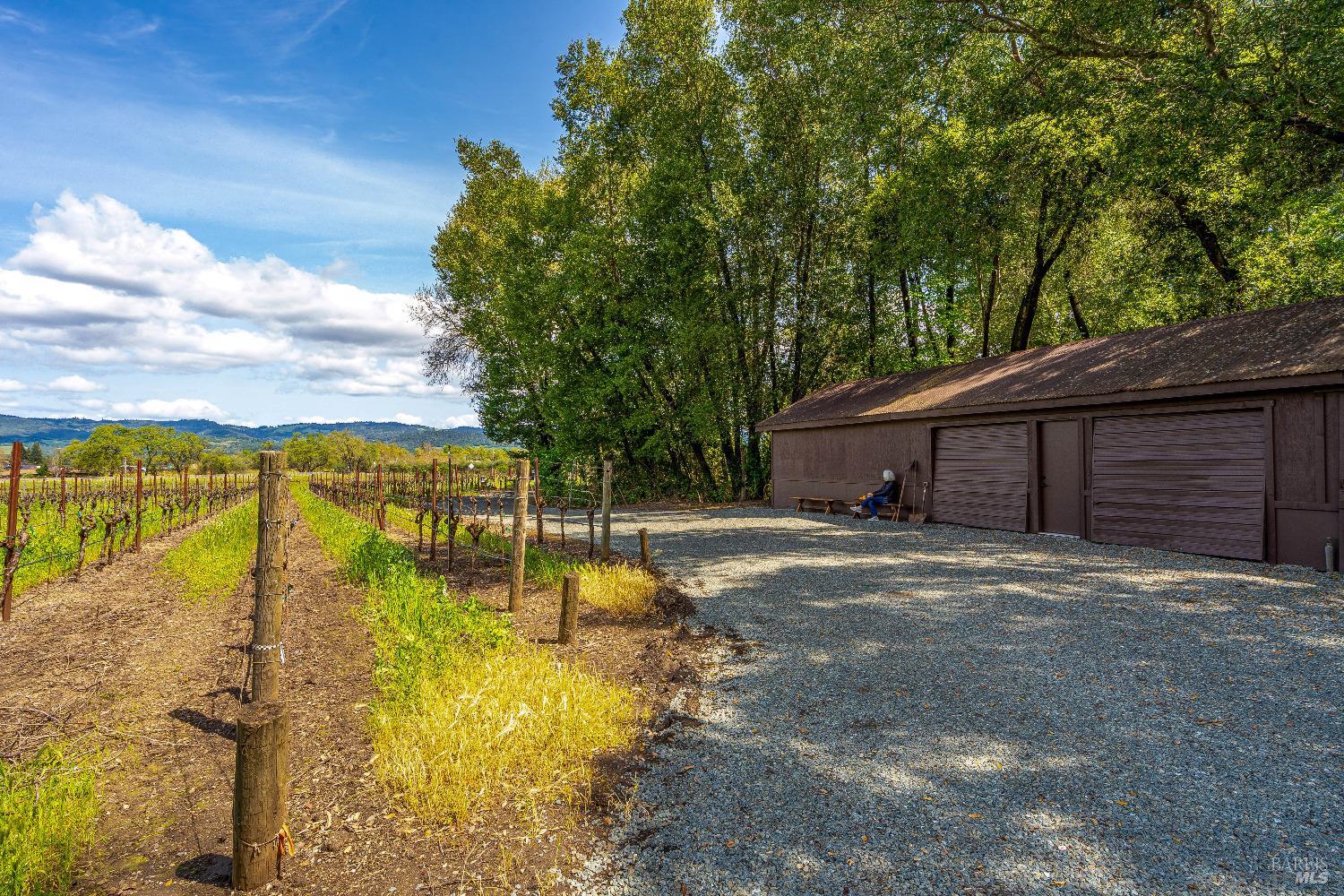 Detail Gallery Image 65 of 68 For 1626 Whitehall Ln, Saint Helena,  CA 94574 - 5 Beds | 7/1 Baths