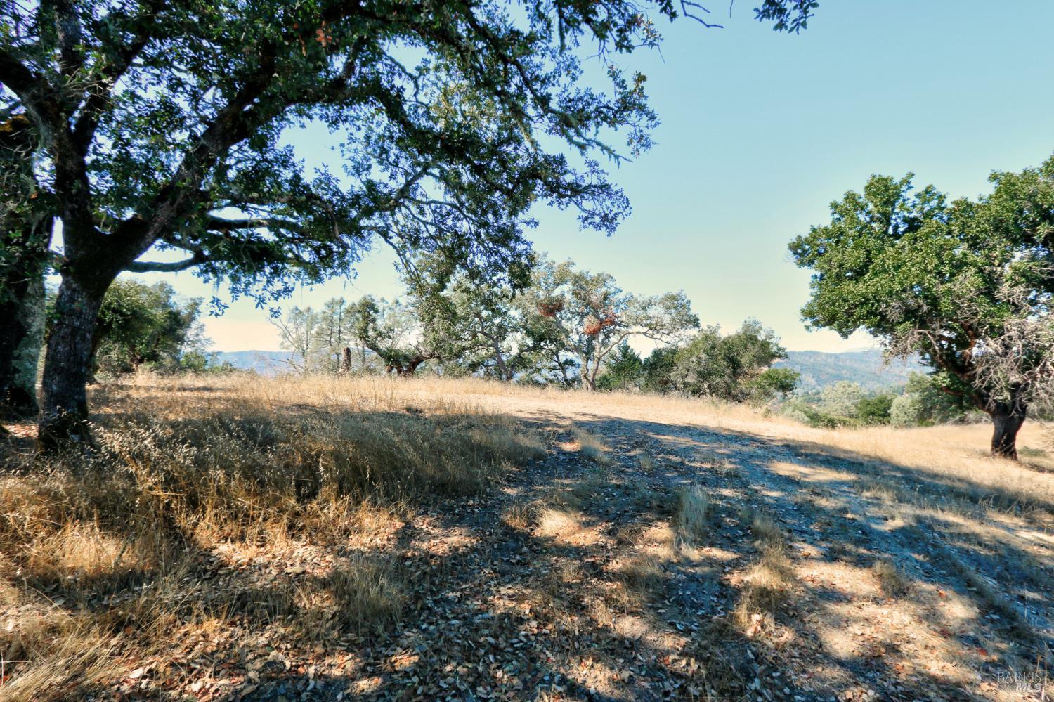 Detail Gallery Image 13 of 23 For 0 Hennessey Ridge Rd, Saint Helena,  CA 94574 - – Beds | – Baths