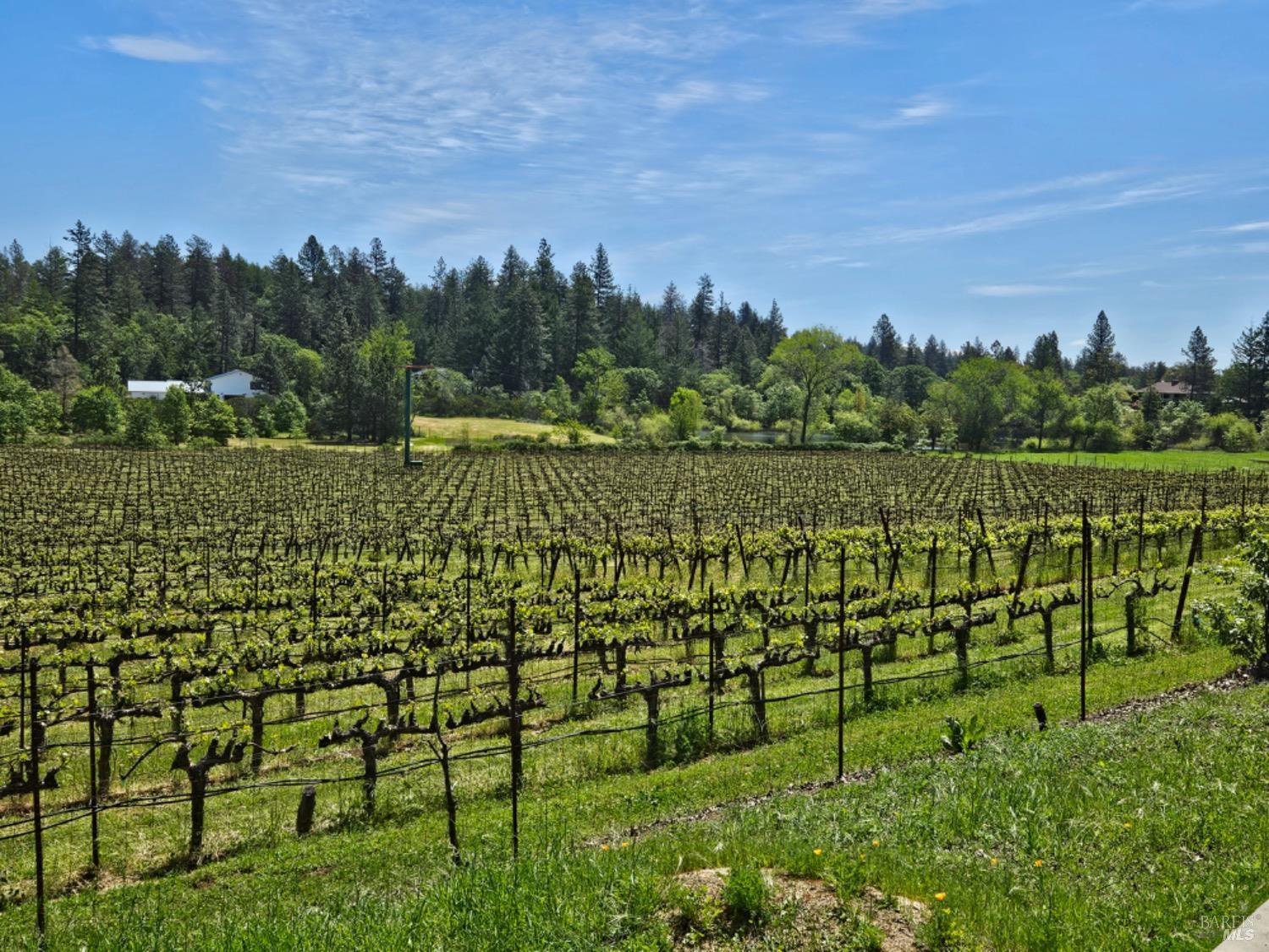 Detail Gallery Image 74 of 74 For 1275 Summit Lake Dr, Angwin,  CA 94508 - 4 Beds | 3/1 Baths