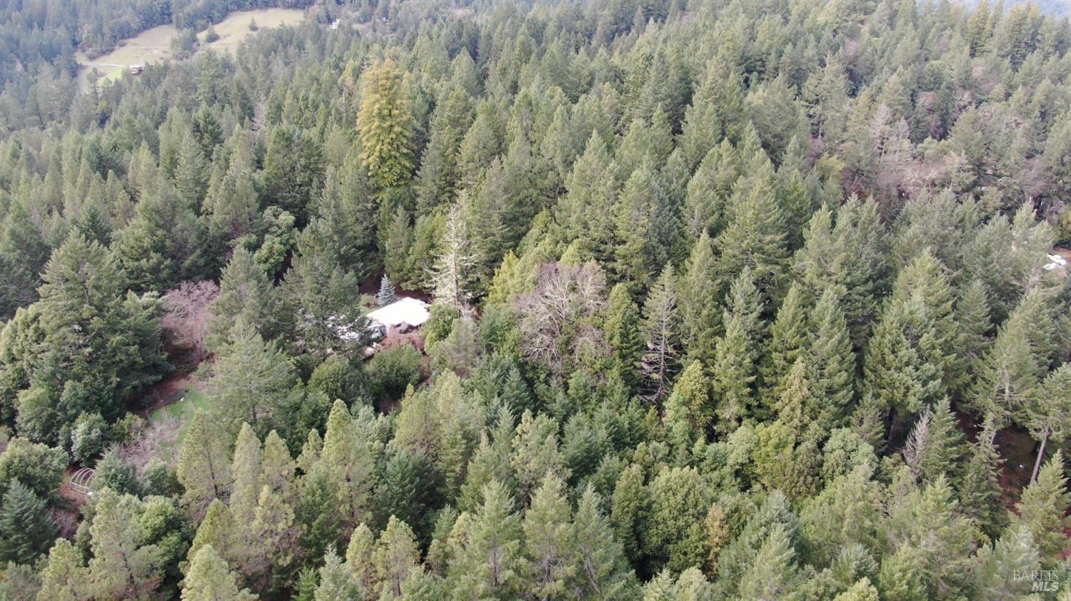 Detail Gallery Image 30 of 41 For 23606 Primrose Ave, Willits,  CA 95490 - – Beds | – Baths