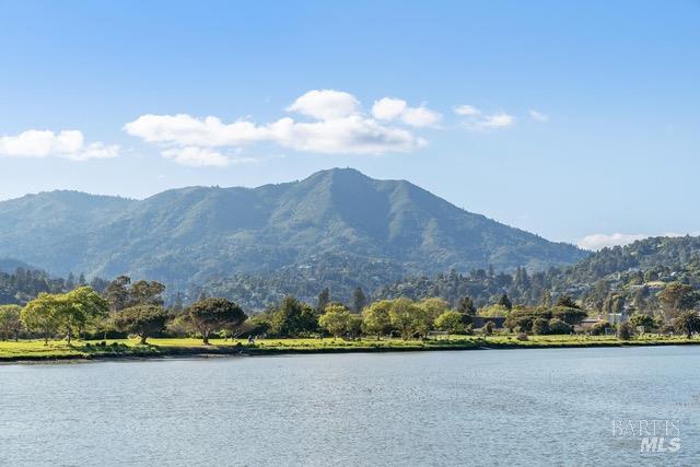 Detail Gallery Image 29 of 35 For 118 Eucalyptus Knoll St, Mill Valley,  CA 94941 - 2 Beds | 2 Baths