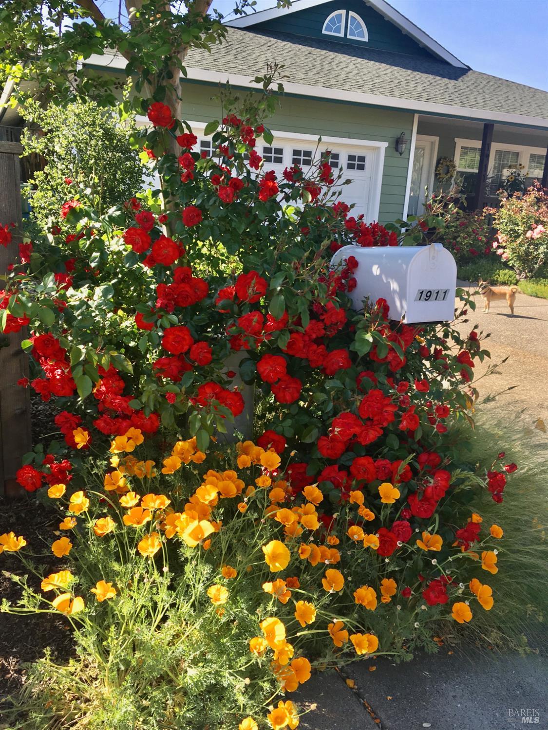 Detail Gallery Image 3 of 30 For 1911 Emerald Dr, Calistoga,  CA 94515 - 3 Beds | 2 Baths