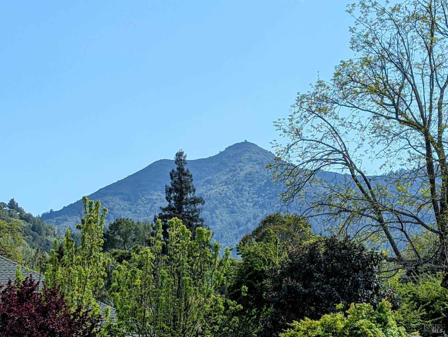 Detail Gallery Image 24 of 41 For 115 Sunnyside Ave, San Anselmo,  CA 94960 - 4 Beds | 3/1 Baths