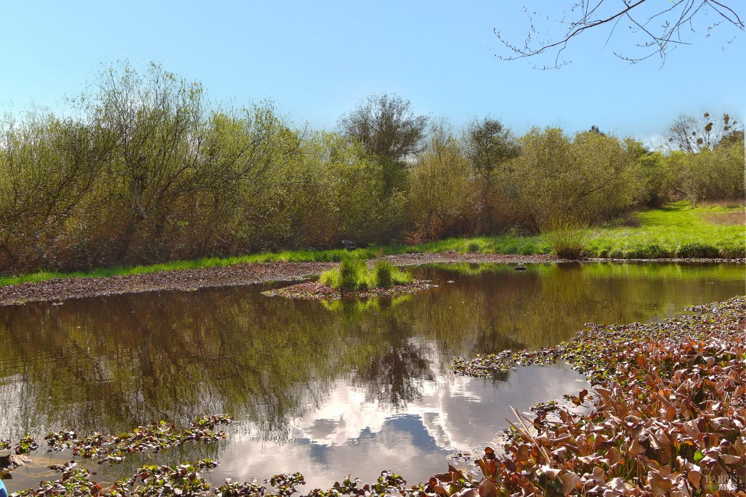 Detail Gallery Image 17 of 25 For 755 Watertrough Rd, Sebastopol,  CA 95472 - 2 Beds | 2 Baths