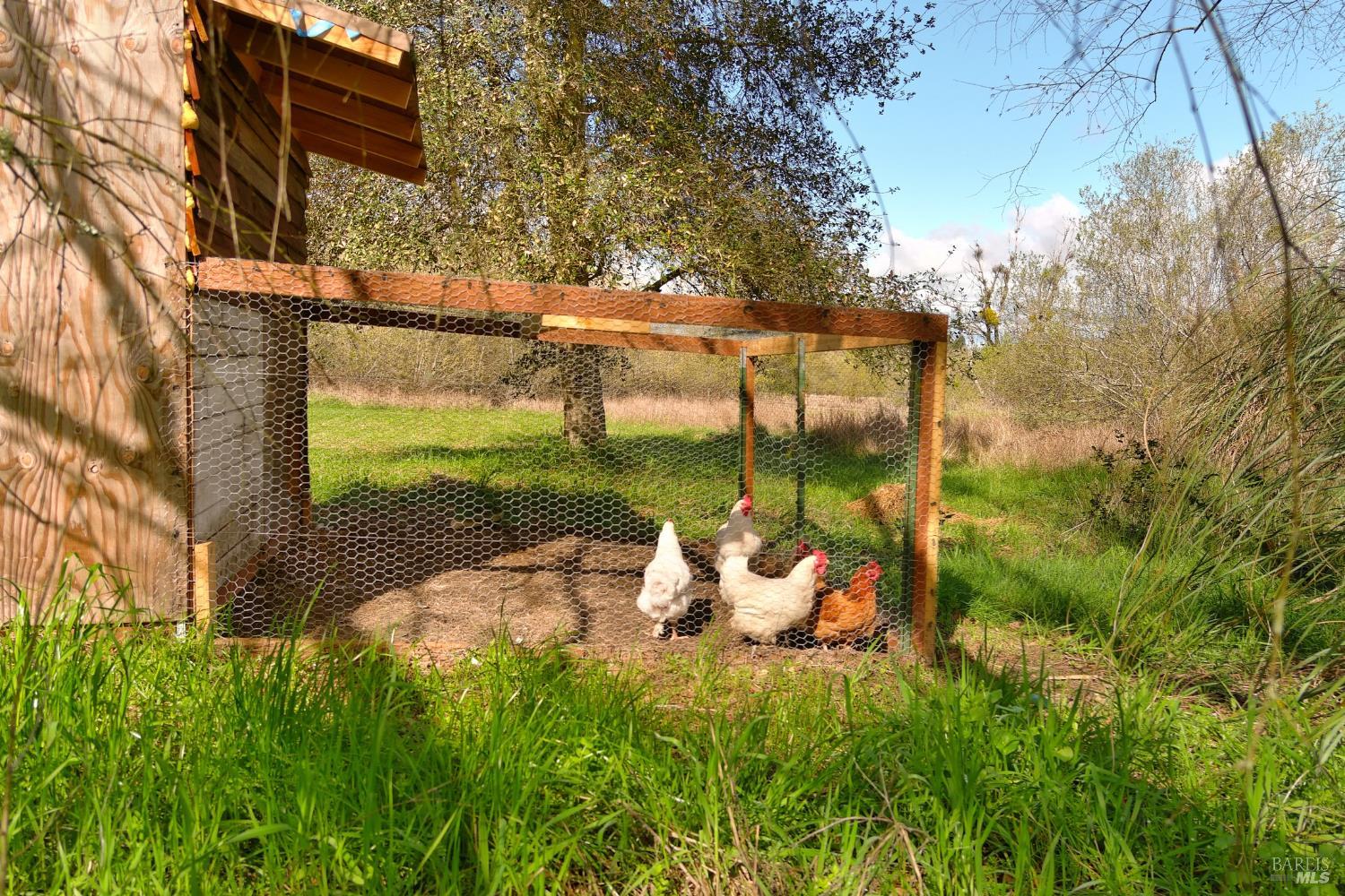 Detail Gallery Image 20 of 25 For 755 Watertrough Rd, Sebastopol,  CA 95472 - 2 Beds | 2 Baths