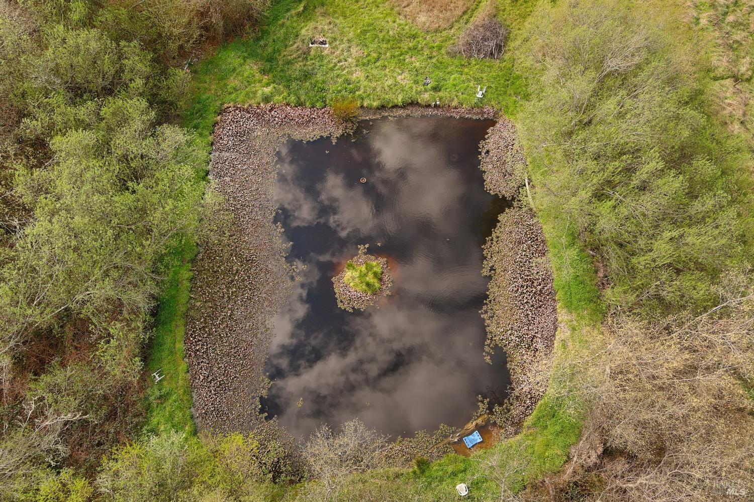 Detail Gallery Image 9 of 25 For 755 Watertrough Rd, Sebastopol,  CA 95472 - 2 Beds | 2 Baths