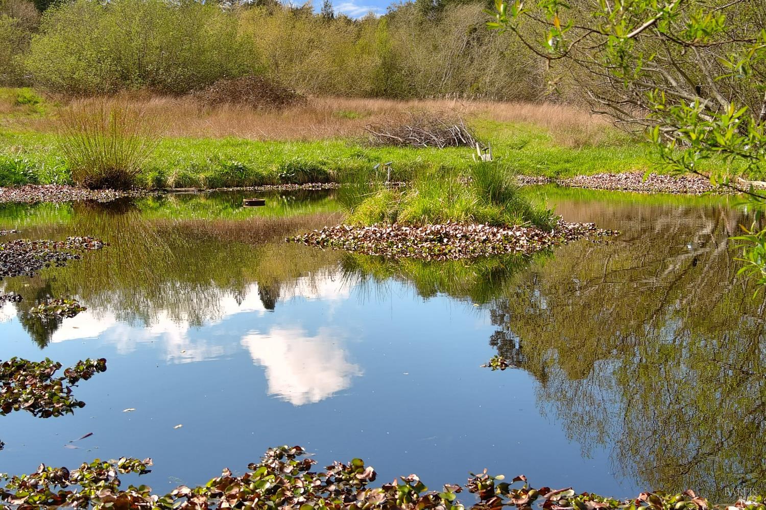 Detail Gallery Image 13 of 25 For 755 Watertrough Rd, Sebastopol,  CA 95472 - 2 Beds | 2 Baths