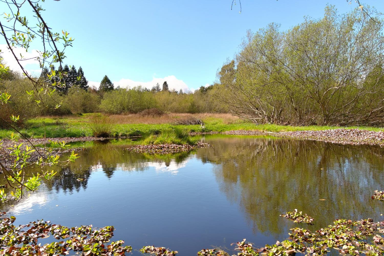 Detail Gallery Image 15 of 25 For 755 Watertrough Rd, Sebastopol,  CA 95472 - 2 Beds | 2 Baths